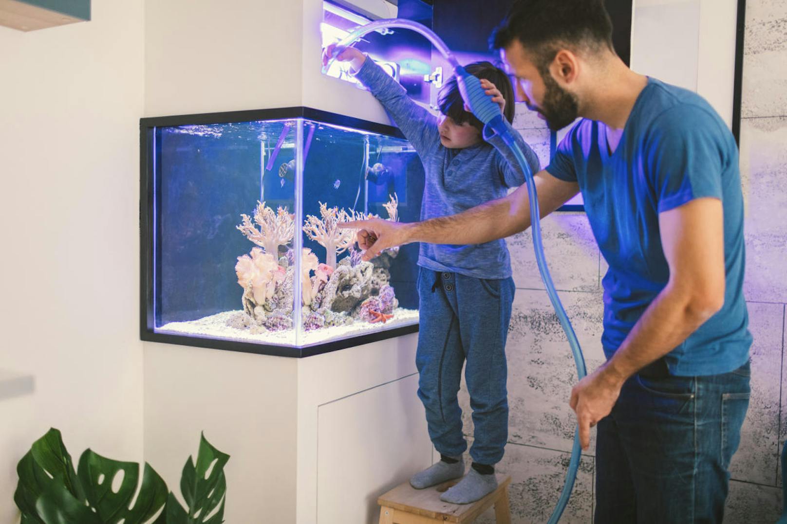 Das Wasser im Aquarium kann sich für die Fische lebensbedrohlich aufheizen. Notfalls sollte vorsichtig kaltes Wasser nachgefüllt werden.