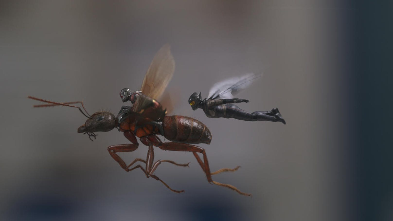 Von links: Ant-Man/Scott Lang (Paul Rudd) und The Wasp/Hope van Dyne (Evangeline Lilly)