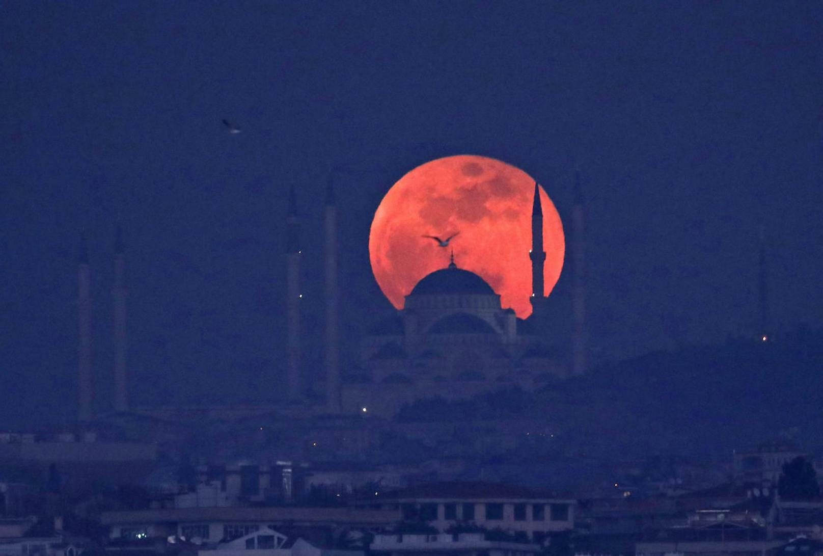 Am 27. Juli 2018 verfinsterte sich der Mond für ganze 103 Minuten. Das wird es in diesem Jahrhundert nicht mehr geben.