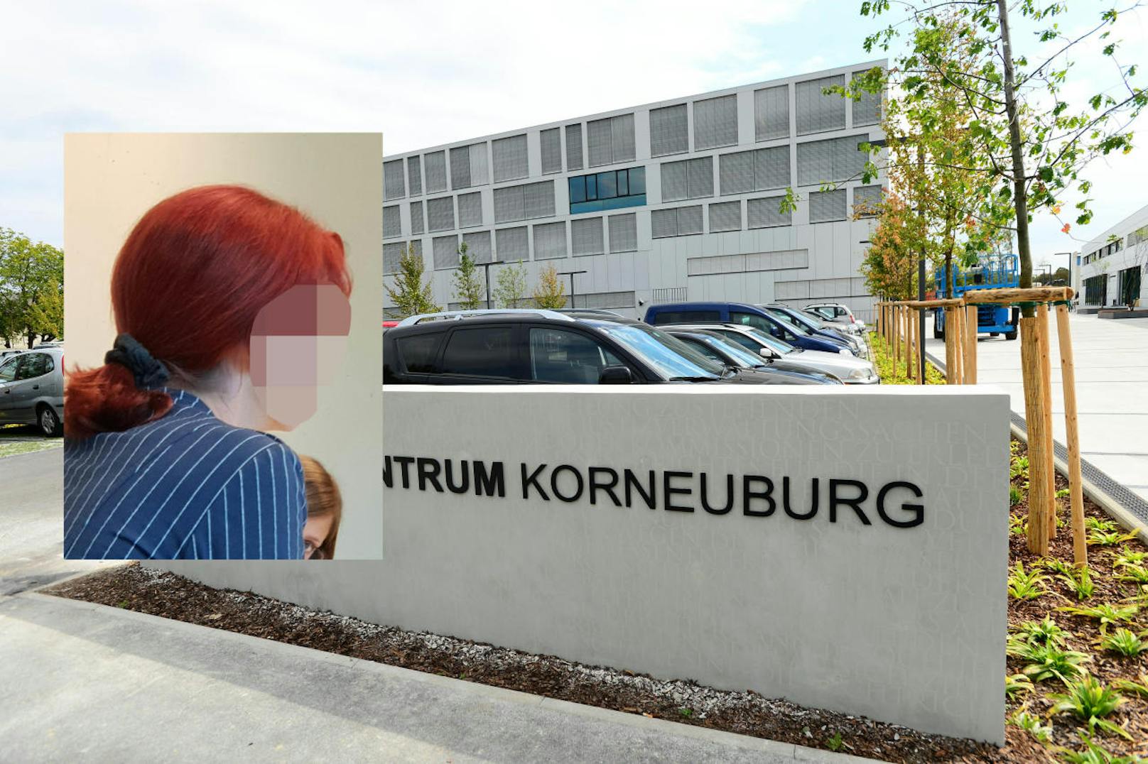 Die angeklagte Lenkerin in Korneuburg vor Gericht