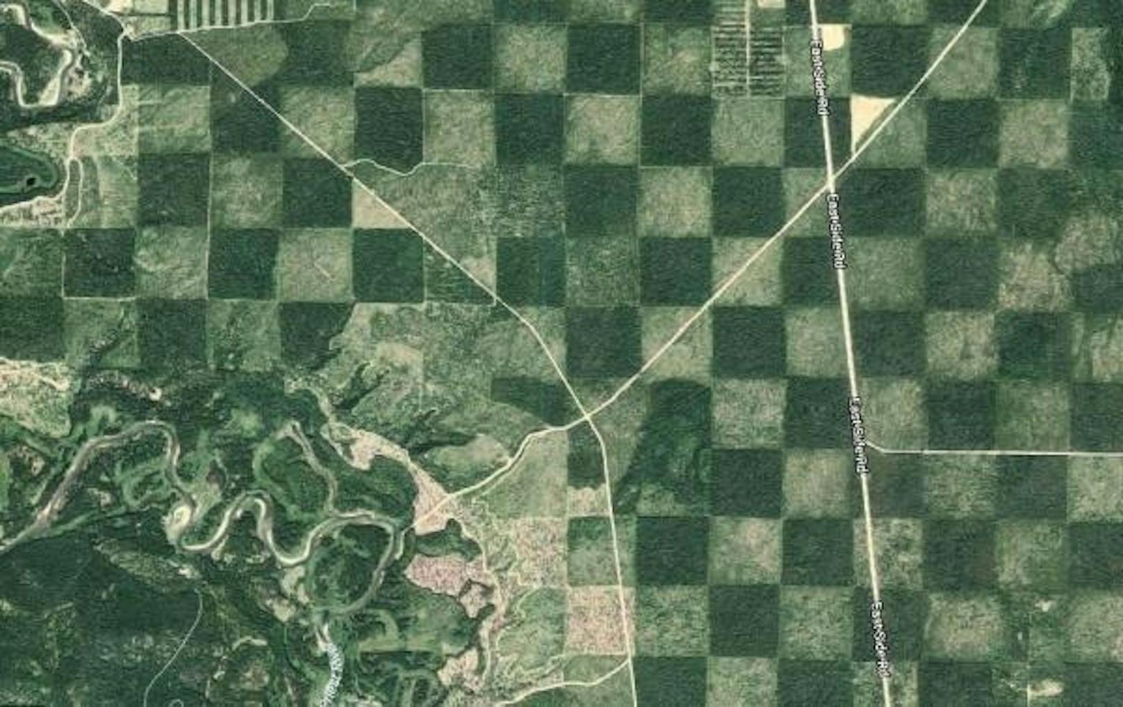 Solche Schachbrettmuster finden sich im Westen der USA zuhauf. Dieses liegt in der Nähe des Priest Lake in Idaho.