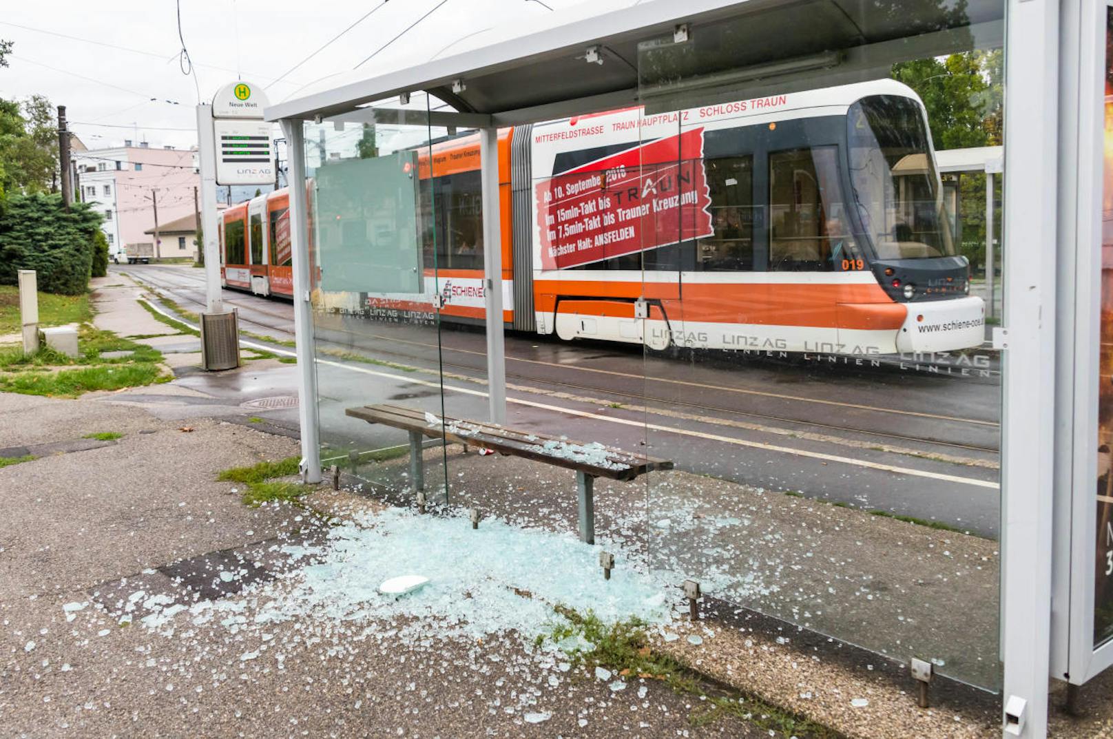 Ein Bild der Verwüstung! Vandalen zerstörten in der Neuen Welt mutwillig eine Bim-Station.