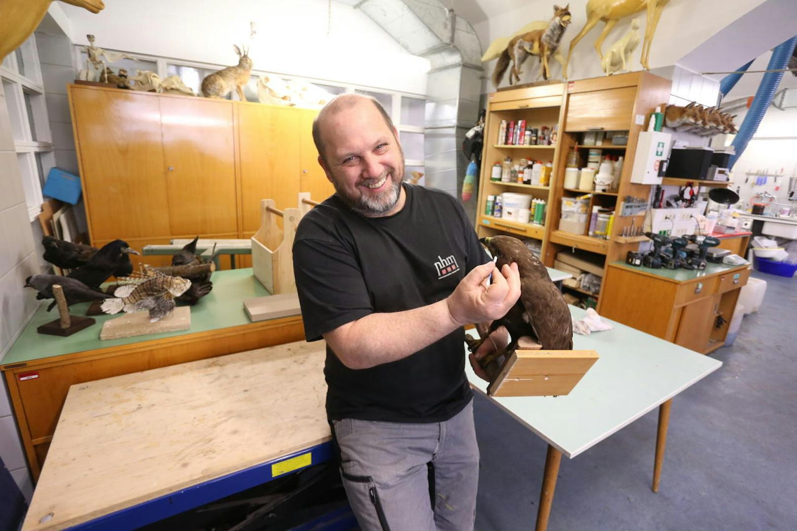 Einer der insgesamt 350 Museumsmitarbeiter ist Chef-Präparator Robert Illek.