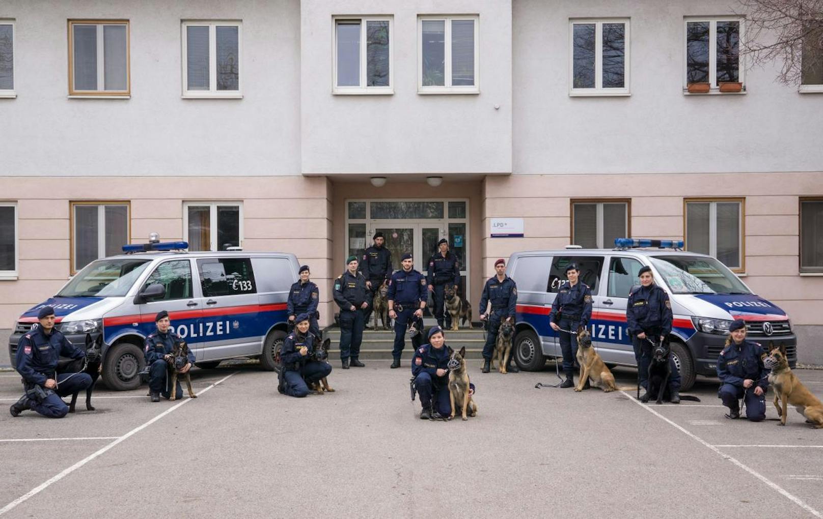 Das österreichische Polizeidiensthundewesen verfügt über eine lange Tradition und genießt hohes internationales Ansehen. (c) LPD Wien