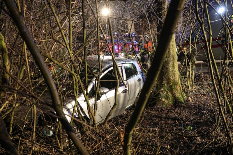 Die Feuerwehrleute mussten den Fahrzeuglenker aus den Bäumen befreien.