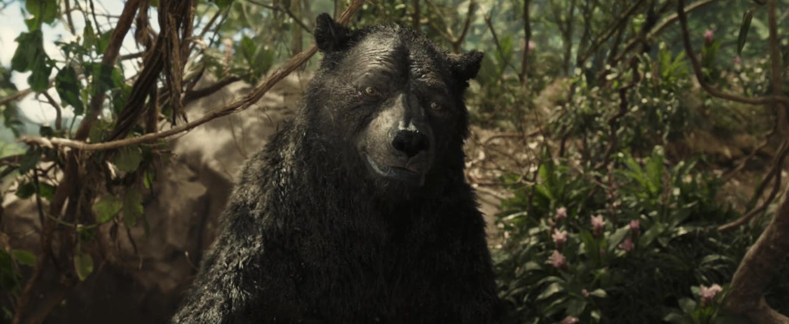 Baloo wird im O-Ton des neuen "Mogli"-Films von Andy Serkis verkörpert. 