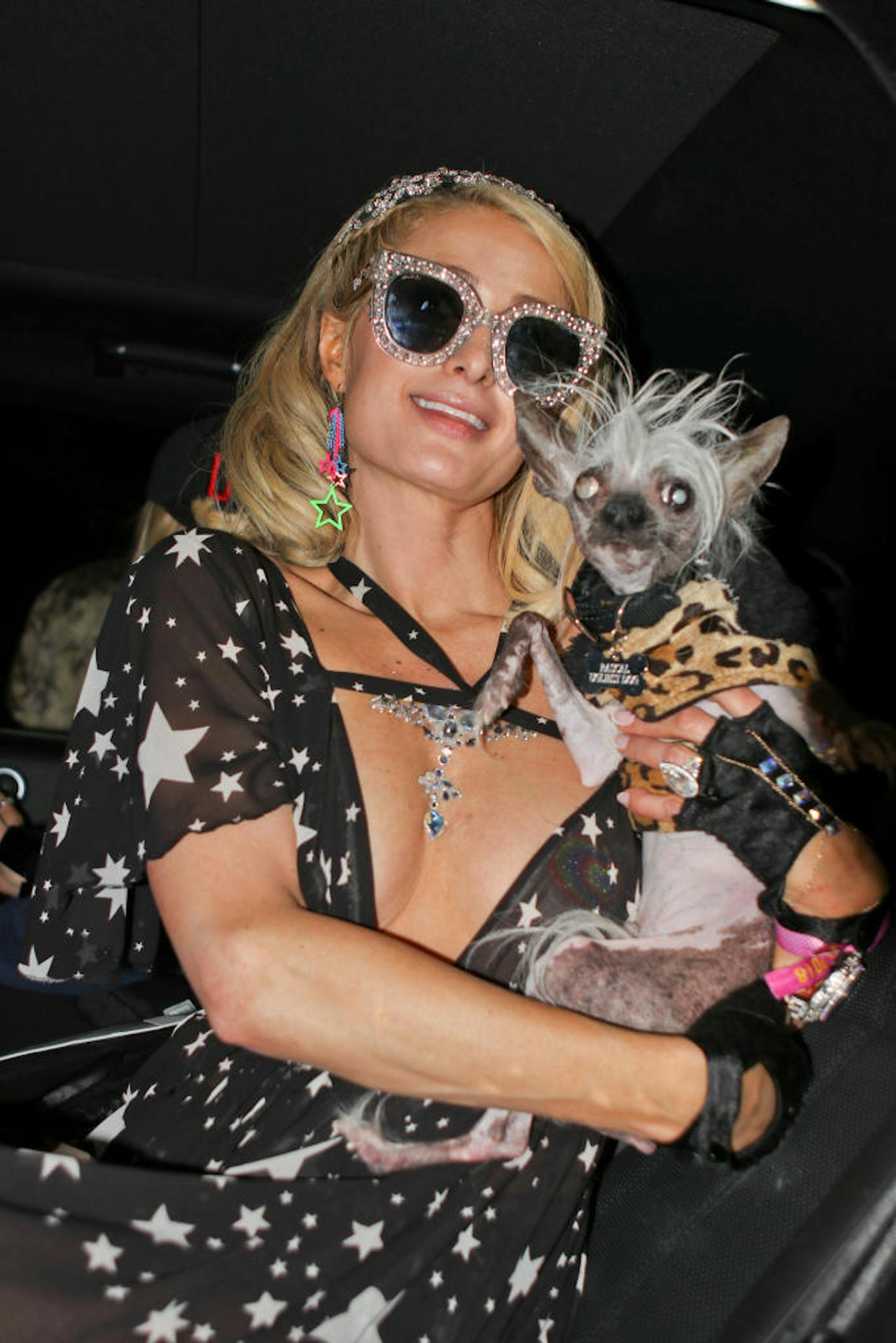 Paris Hilton wurde in der Nacht mit ihrem Hund Rascal, der bereits mehrere Wettbewerbe als "hässlichster Hund" gewann, gesehen. Wo ihr Verlobter geblieben war?  Keine Ahnung.