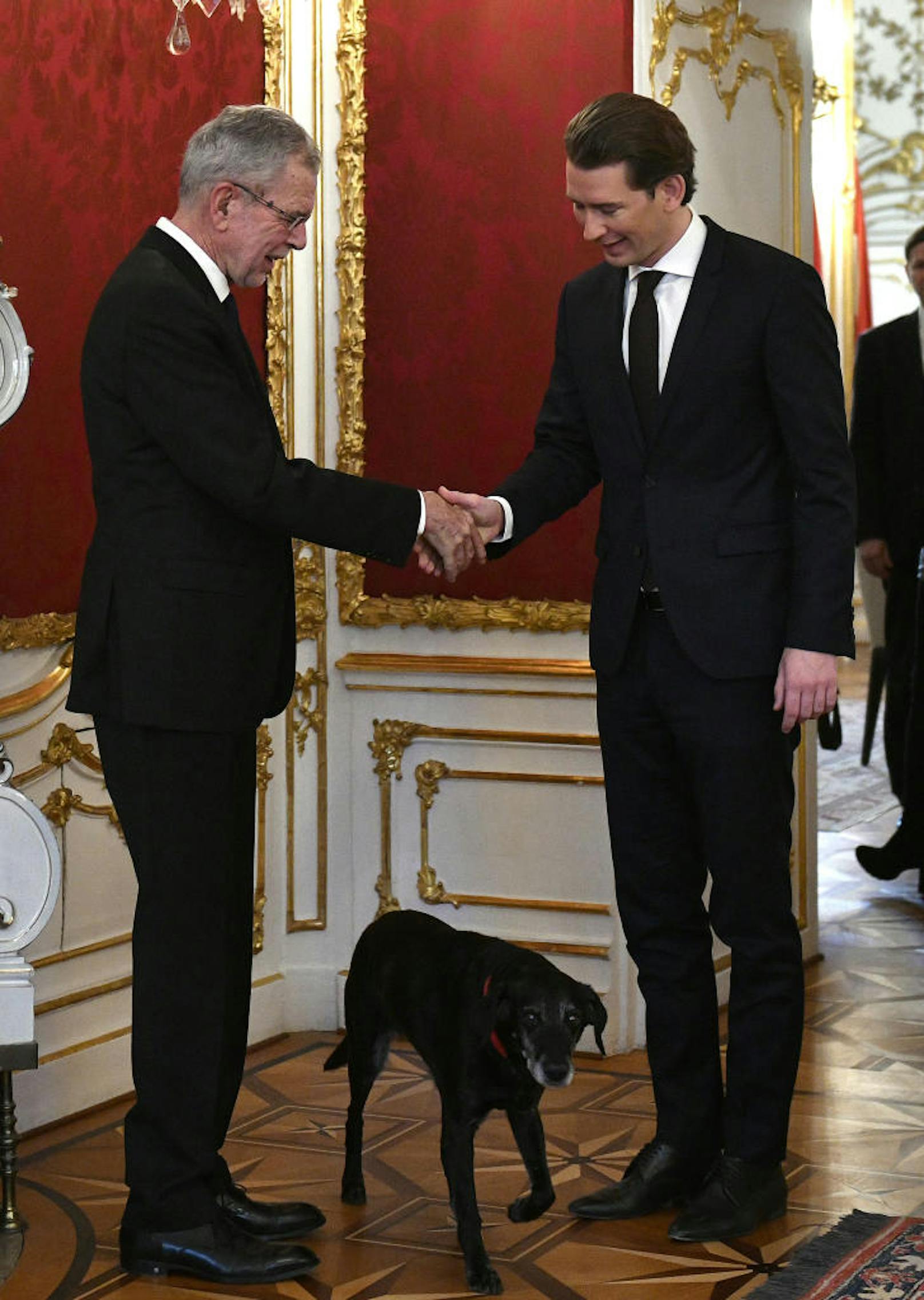 ÖVP-Obmann Sebastian Kurz (R) berichtet am Donnerstag 14. Dezember 2017 in Wien, Bundespräsident Alexander Van der Bellen mit Hund Kita über den Stand der Regierungsverhandlungen mit der FPÖ.