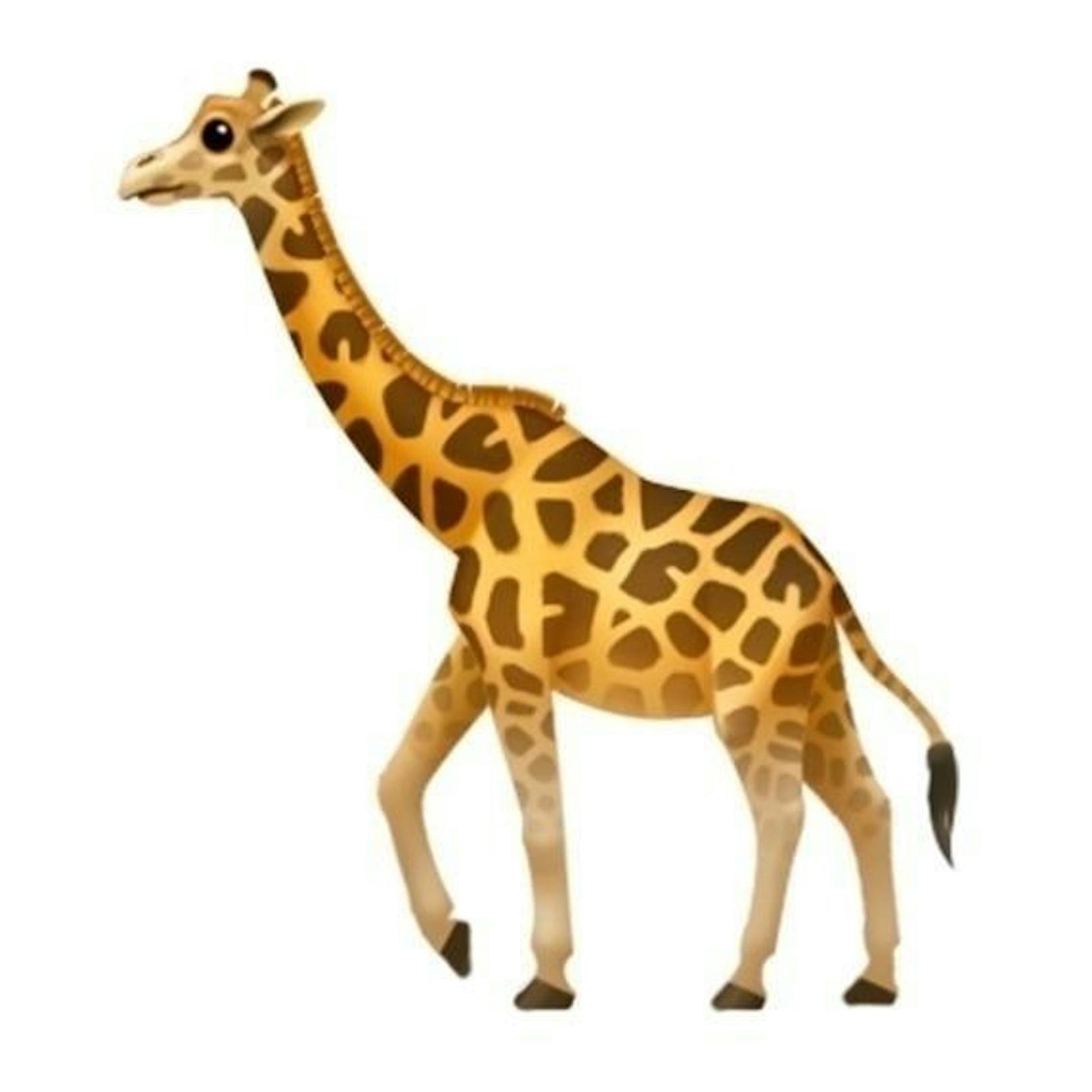 ... eine Giraffe ...