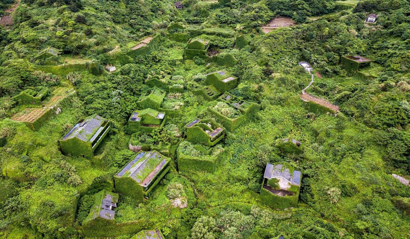Das Geisterdorf Houtouwan auf der Insel Shengsan (China) wurde von der Natur total überwuchert.