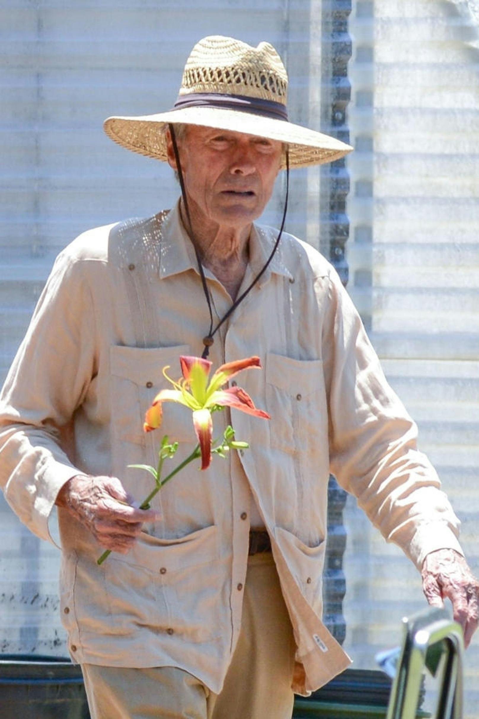07.06.2018: Dritter Frühling für Clint Eastwood. Nach "Gran Torino" (2008) wollte er nur noch Regie führen, "Back in the Game" brachte ihn zurück ins Spiel, jetzt hat der 88-Jährige erneut eine Hauptrolle: In "The Mule" wird er zum Drogenkurier mit grünem Daumen.