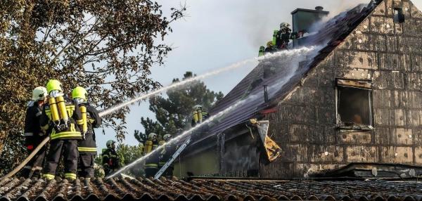 Wohnhaus Brannte: Katze Aus Flammen Gerettet - Österreich | Heute.at