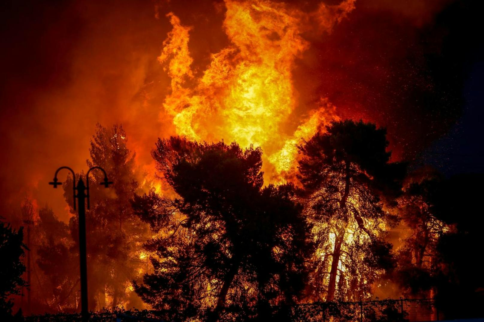 Rund 40 Kilometer östlich von Athen ist ein großer Waldbrand außer Kontrolle geraten.