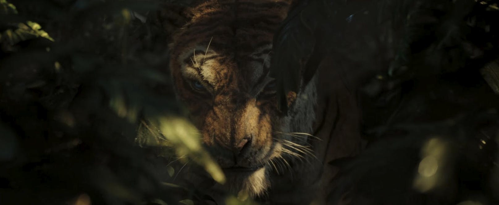 Der Tiger Shere Khan versteckt sich im Unterholz.