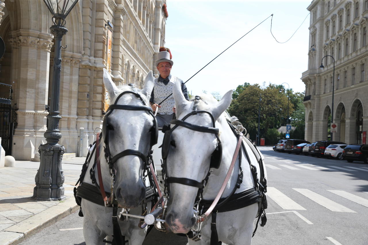 Hietzings Bezirksvorsteherin-Stellvertreter (ÖVP) Christian Gerzabek mit seinen Pferden Arkan (links) und Jimmy