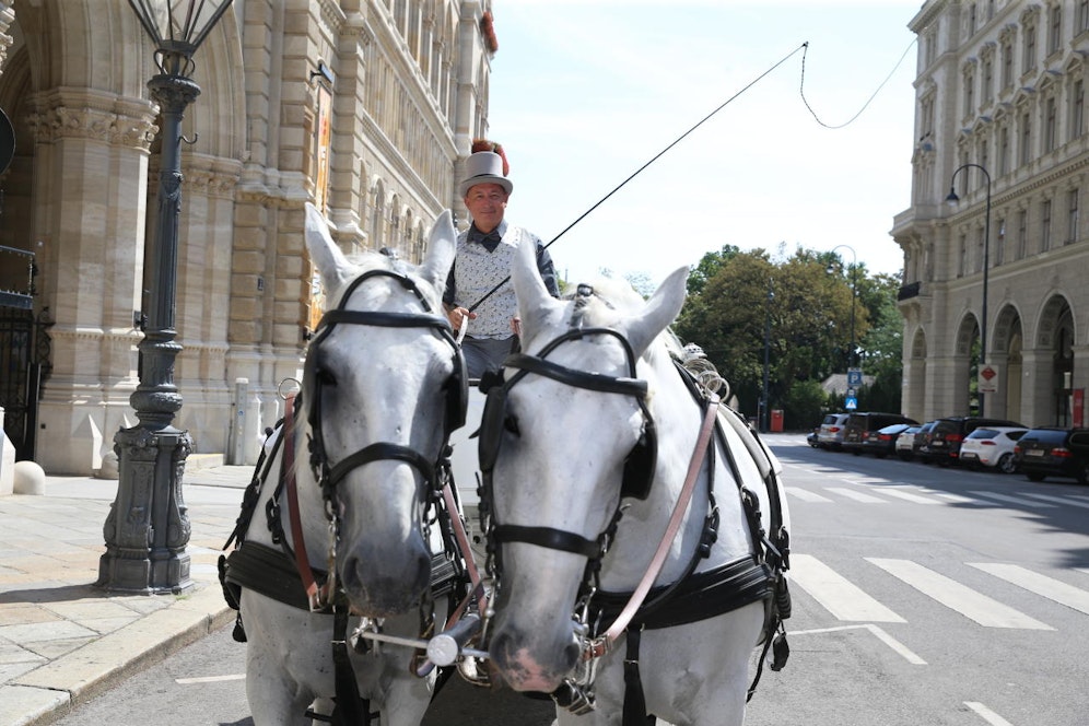 Hietzings Bezirksvorsteherin-Stellvertreter (ÖVP) Christian Gerzabek mit seinen Pferden Arkan (links) und Jimmy