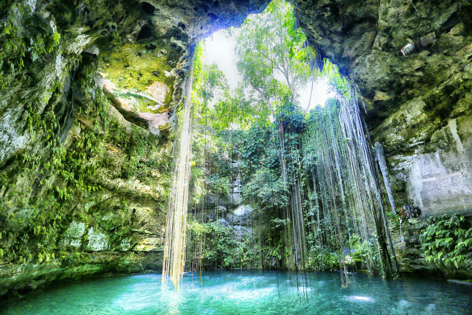 <b>Ik Kil Cenote - Yucatan, Mexiko</b>
In dieser märchenhaft schönen Höhle kann man nicht nur den beeindruckenden Anblick der grün bewachsenen Wände sowie der von der Deckenöffnung herab hängenden Lianen bewundern, sondern auch eine erfrischende Runde im glasklaren Wasser schwimmen.