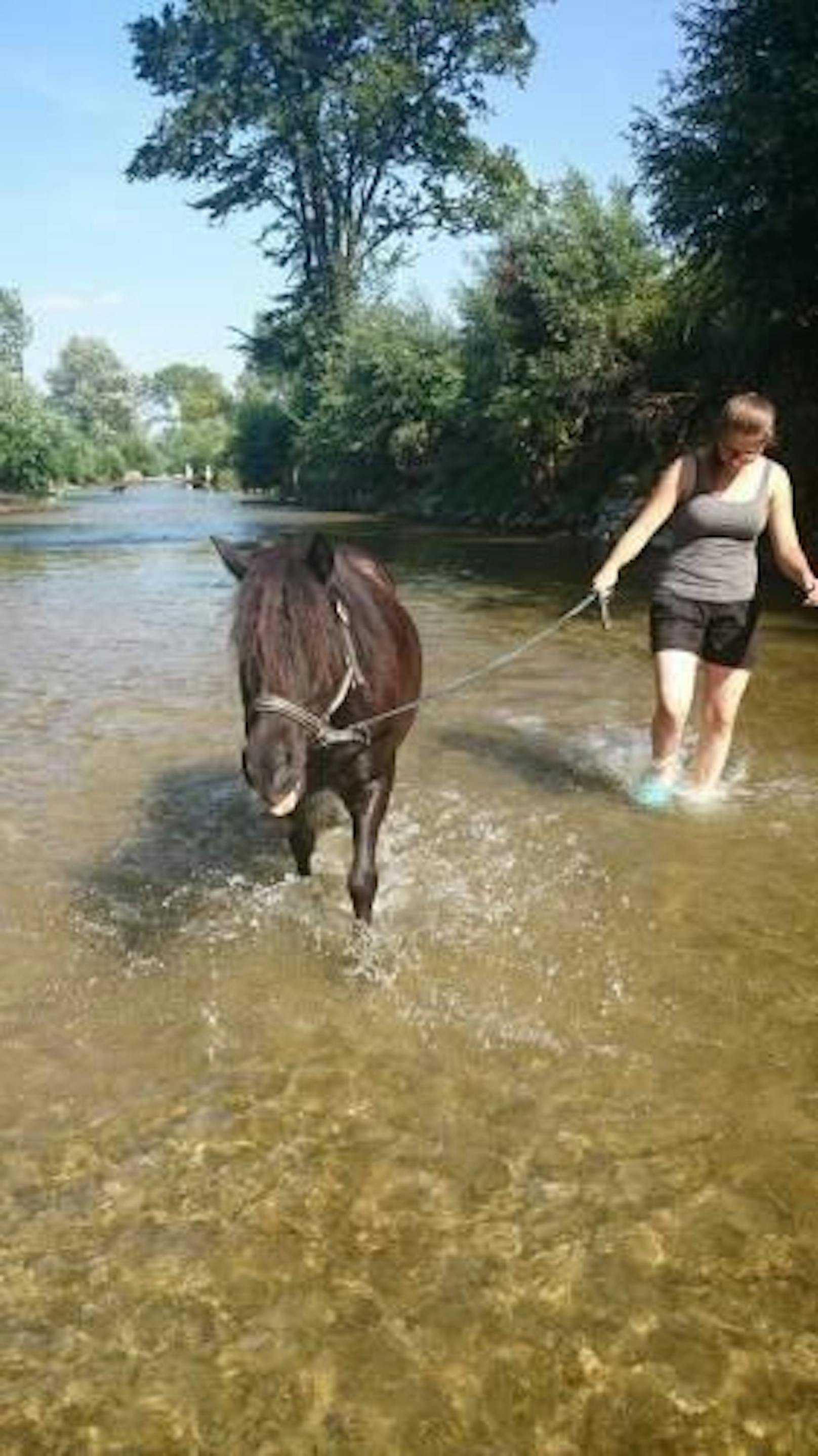 Mit dem Pony ins Wasser, erfrischend für Mensch und Tier.