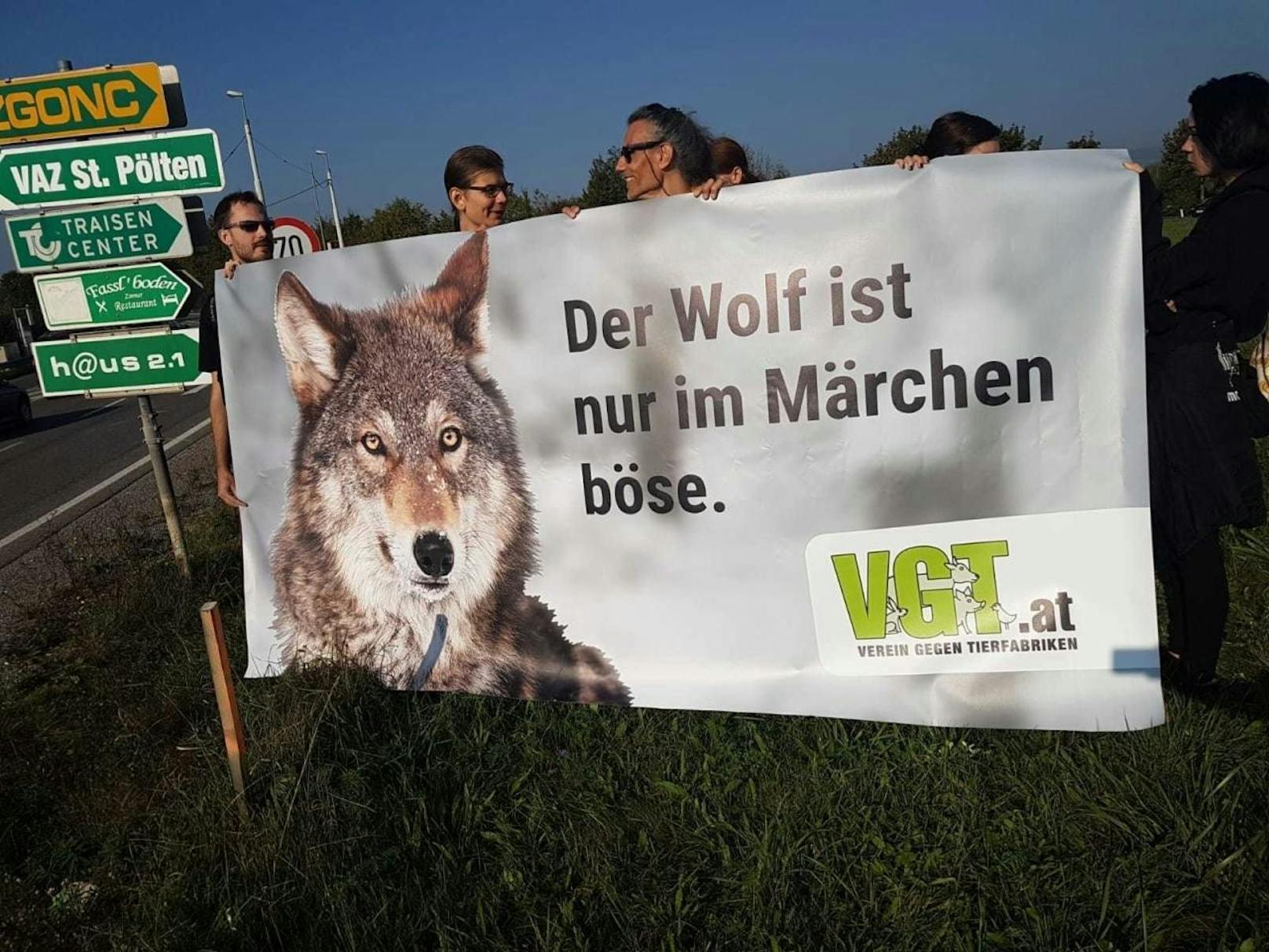 Die Aktivisten vom "VGT - Verein gegen Tierfabriken" brachten sich um 9 Uhr morgens an der Stadteinfahrt Sankt Pölten in Stellung. "Der Wolf ist nur im Märchen böse", stand am Plakat.