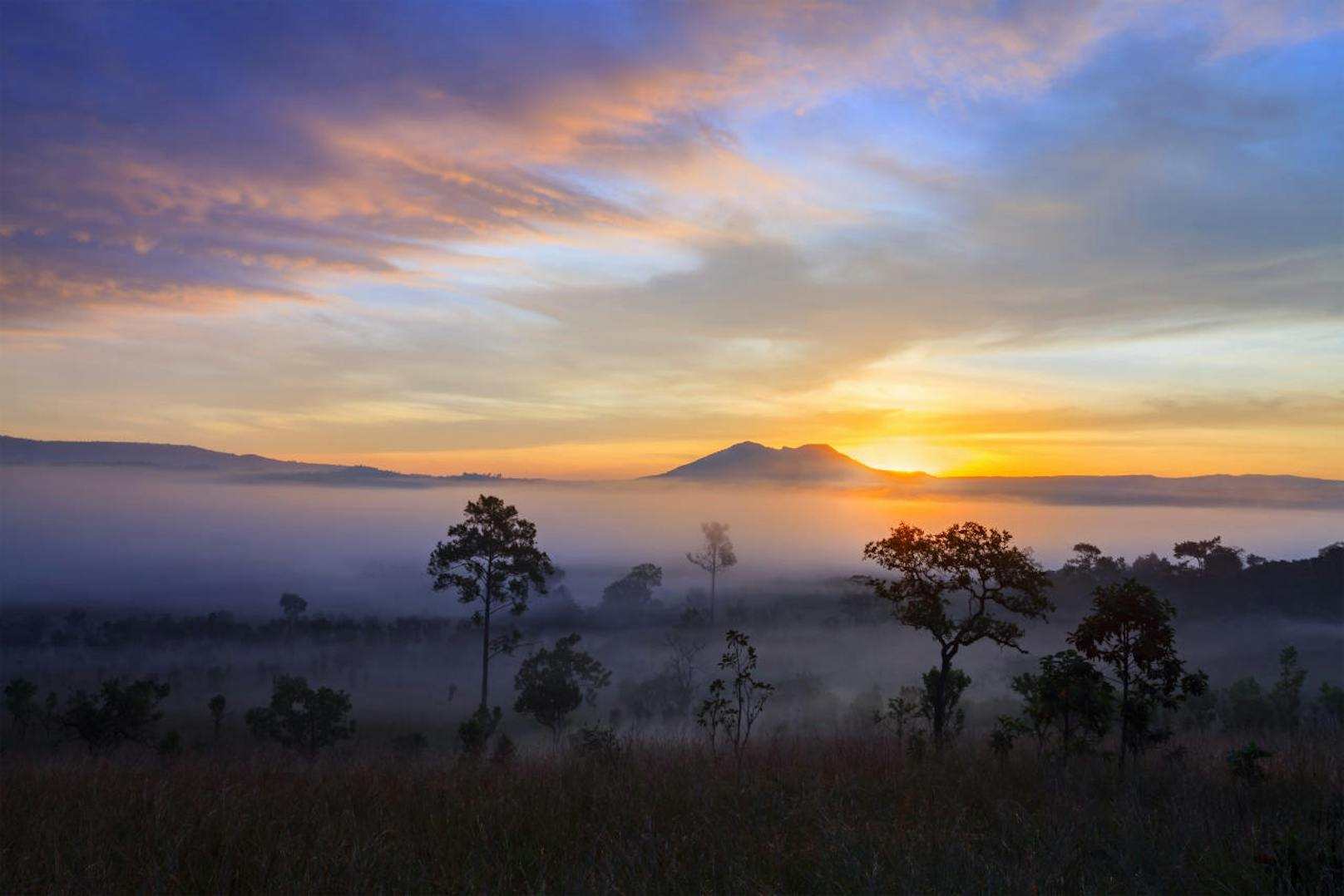Morgennebel beim Sonnenauftrag im Nationalpark  in Thung Salang Luan