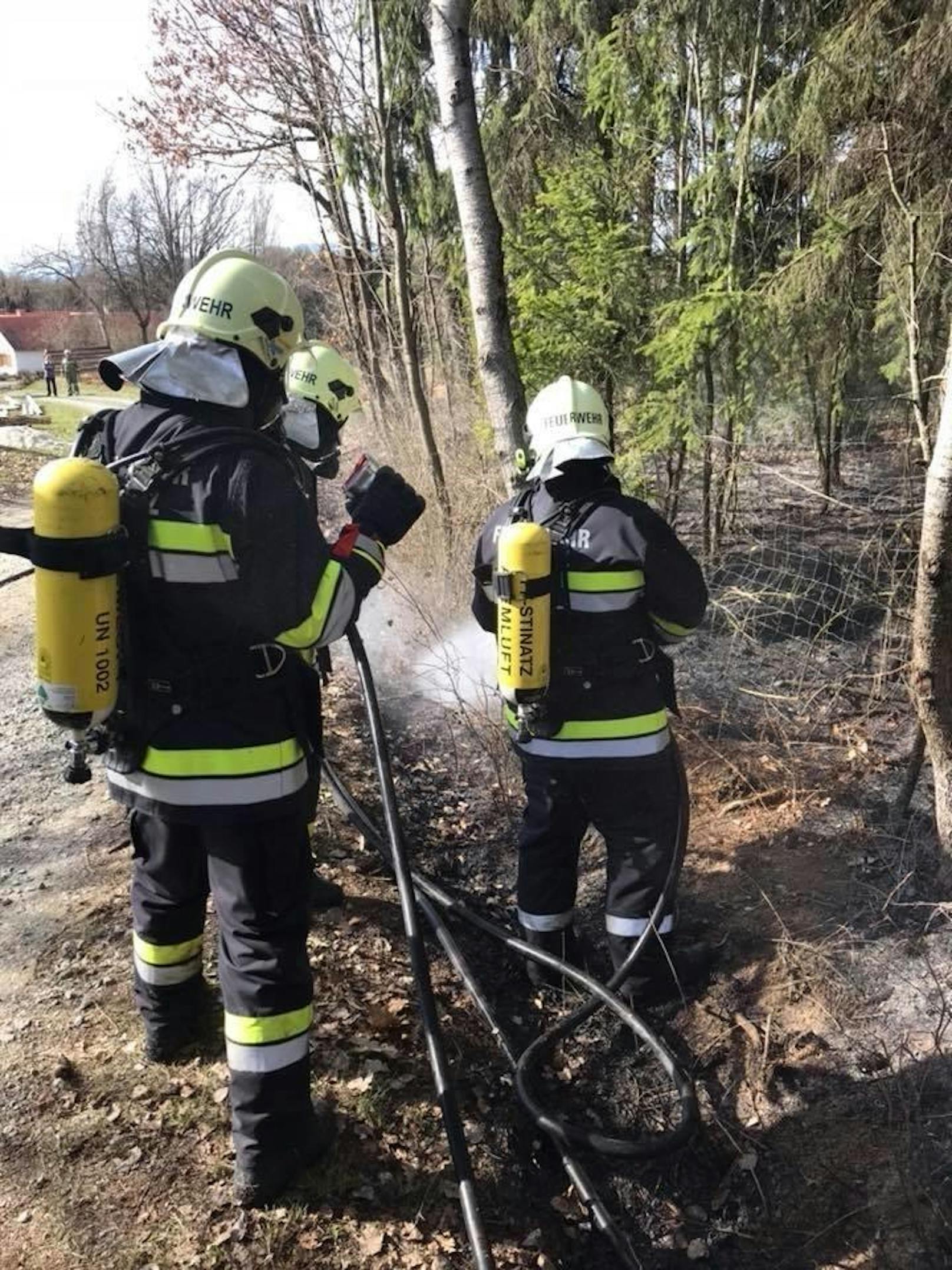 Verspätetes Osterfeuer außer Kontrolle löst beinahe Waldbrand aus: Großalarm für die Feuerwehren im Bezirk Güssing (4. April 2018).