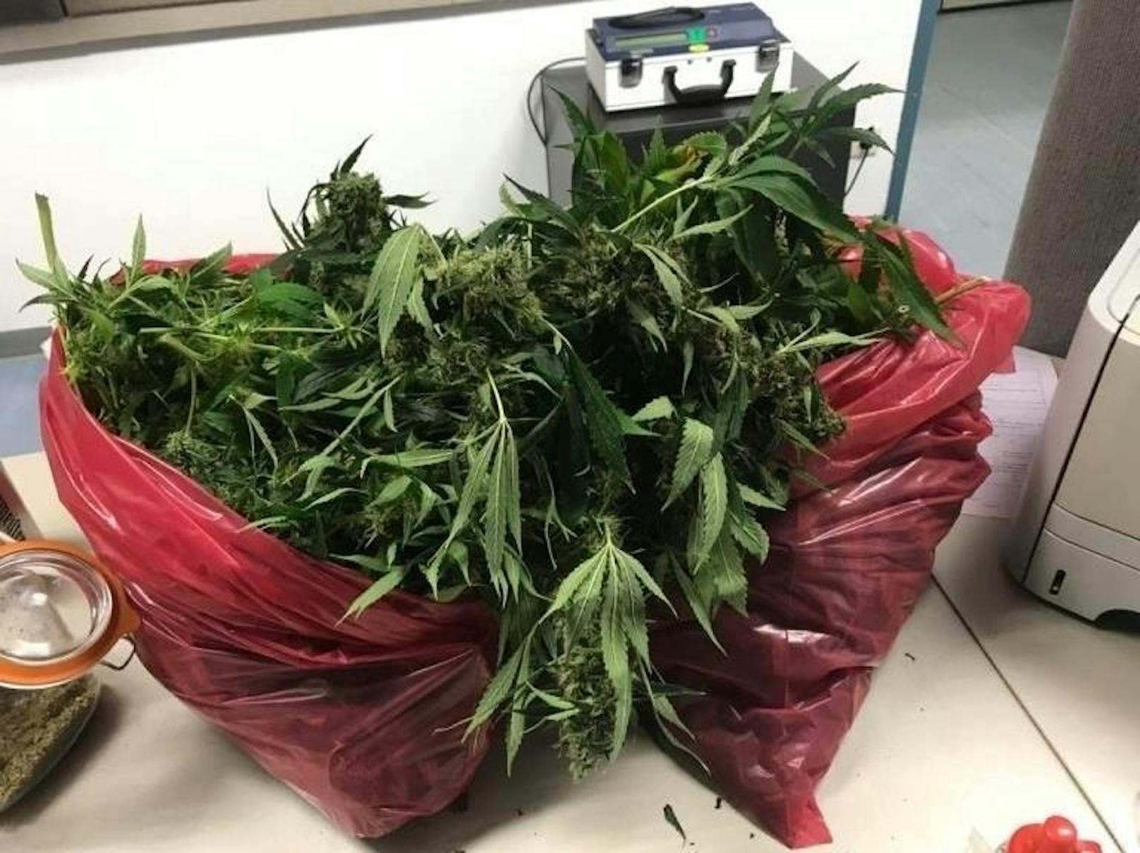 Zudem wurden ein Schlagring, mehrere mit Cannabis gefüllte Baggies und Gefrierfolien, 32 Hanf-Pflanzen und 53 Stück Tabletten, vermutlich Ecstasy, sichergestellt.