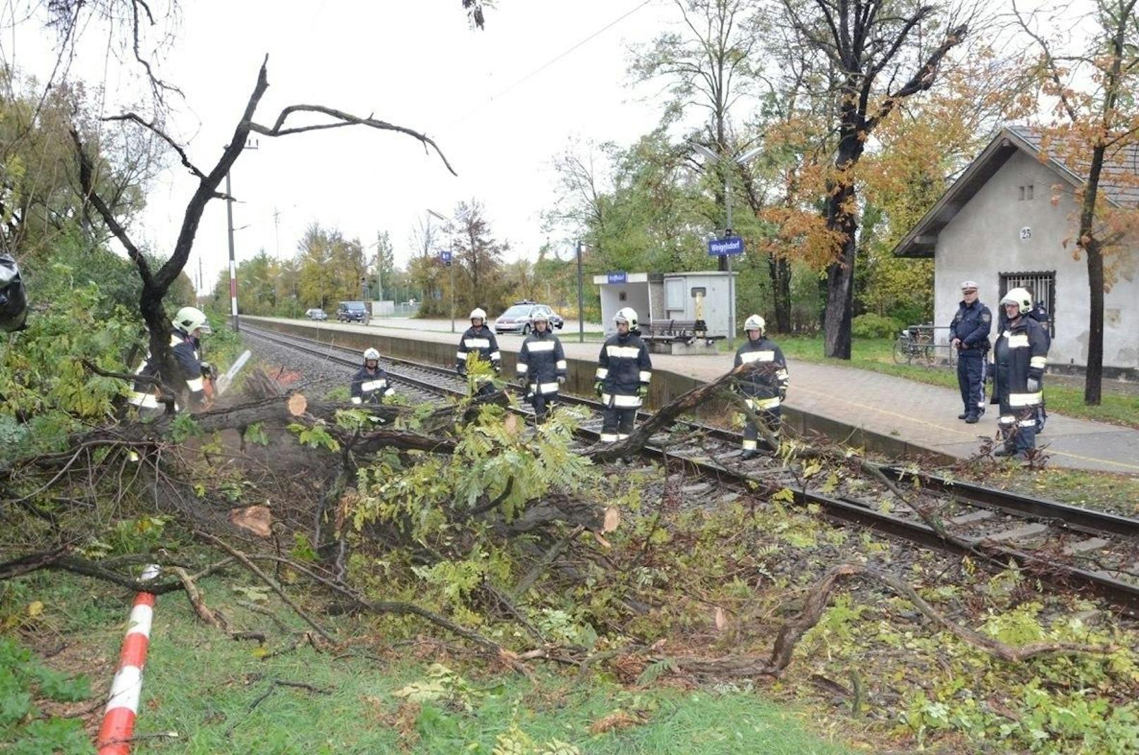 Ein umgestürzter Baum legte den Zugverkehr lahm.