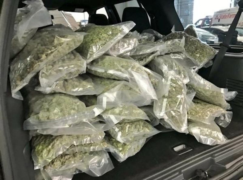 Insgesamt 35 Kilogramm Marihuana hat die Polizei sichergestellt.