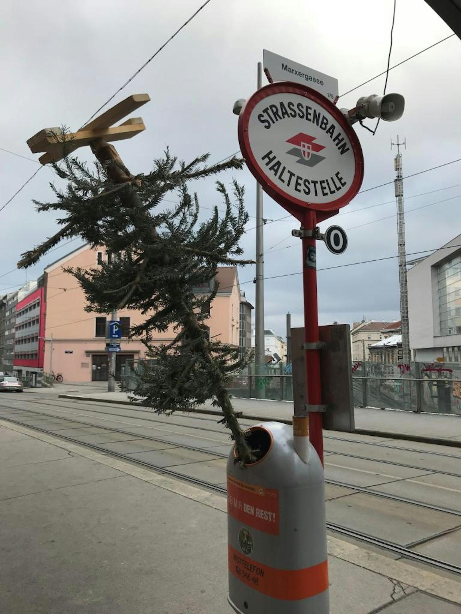 Hier steckt ein Christbaum in einem Mistkübel der MA-48. Gesehen in Wien-Landstraße.