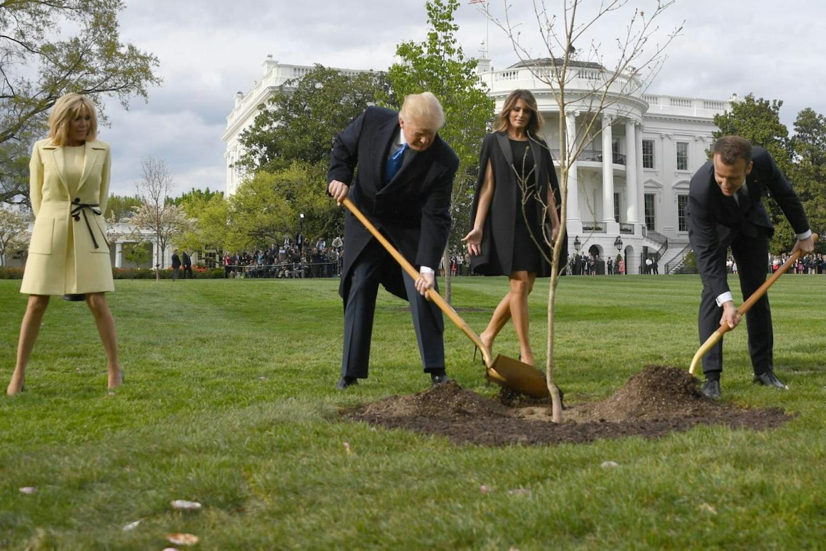 Während die Präsidenten schaufelten, schauten die First Ladys amüsiert zu. Der Baum hat historische und zugleich symbolische Bedeutung: Es handelt sich ...