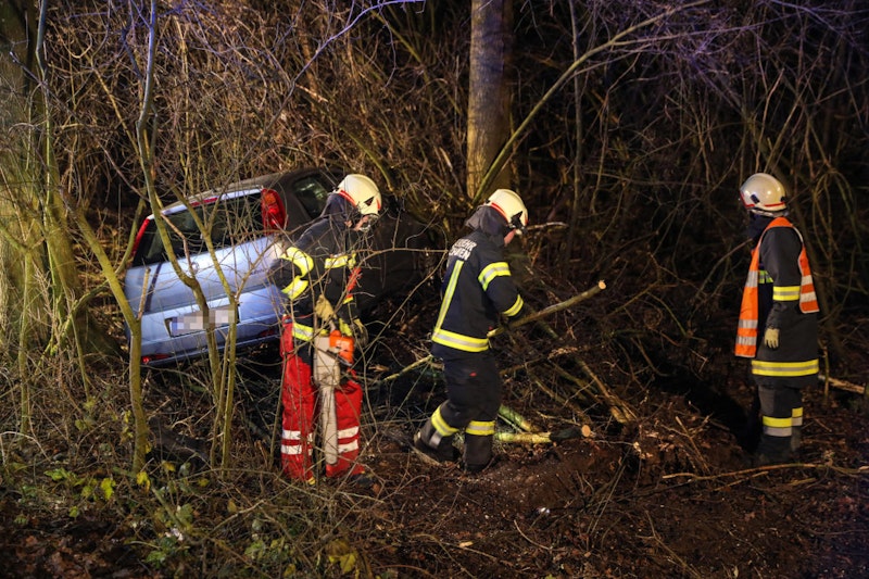 Die Feuerwehrleute mussten den Fahrzeuglenker aus den Bäumen befreien.