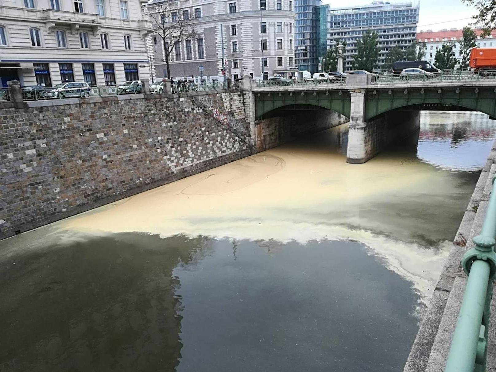 Ein Umweltdesaster im Wienfluss? Im April sorgt dieser Anblick für Sorge. Die Feuerwehr wird verständigt, kann aber nach kurzer Zeit Entwarnung geben: Die gelbe Substanz ist nur Blütenstaub!