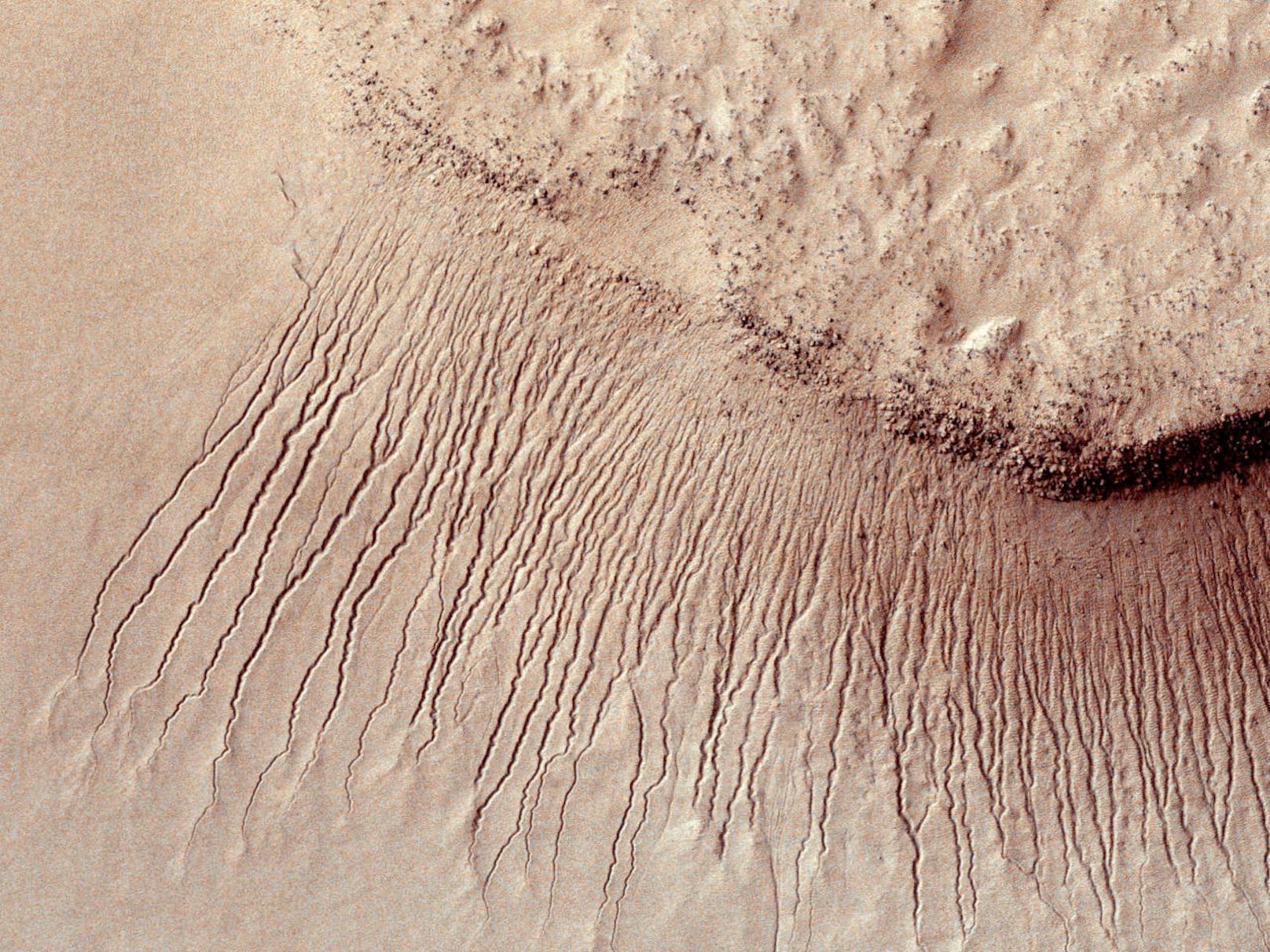 So sieht es auf der Oberfläche des Mars laut Aufnahmen der Nasa aus.