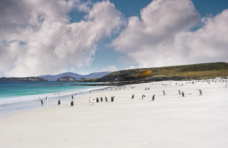 Ein 7 km langer Strand wartet auf seinen neuen Besitzer..