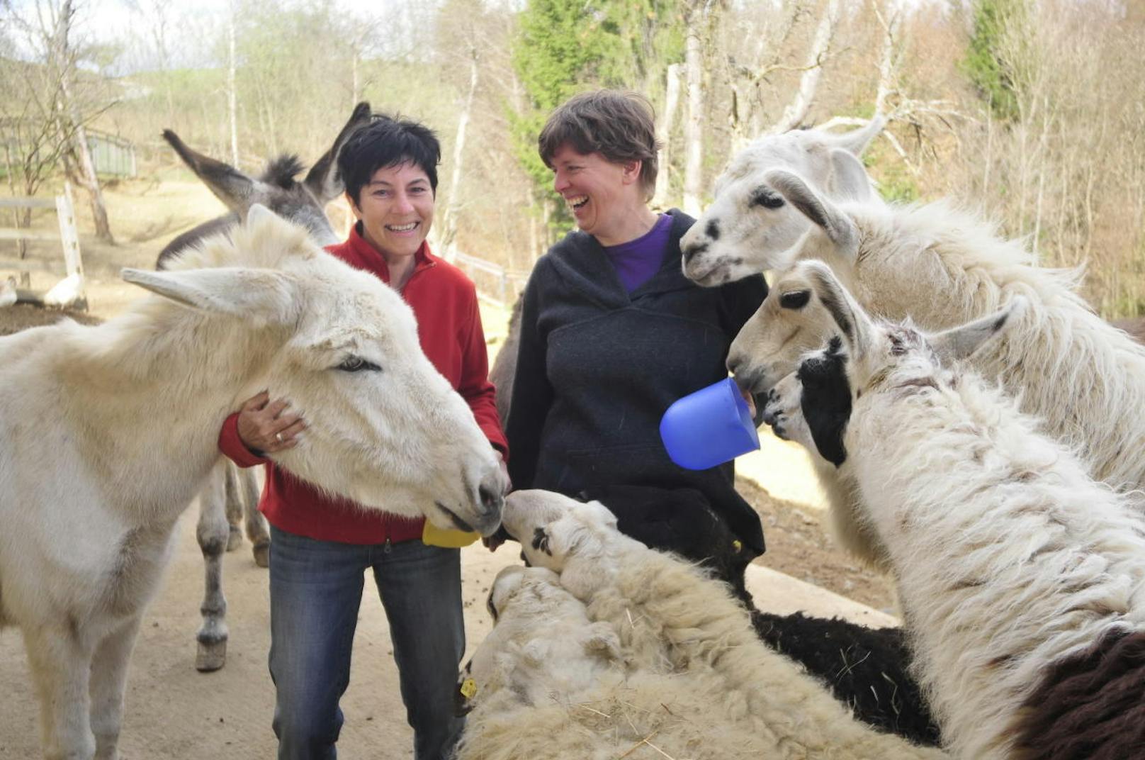 Die Betreiberinnen des Weiberhofs leben mit Schafen, Ziegen, Eseln, Lamas, Hunden und einer Katze.