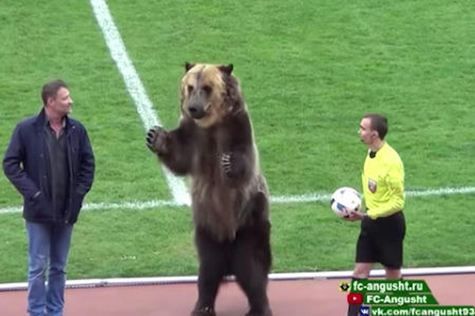 Vor WM in Russland - Bärin übergab Matchball - das Video sorgte für Diskussionen