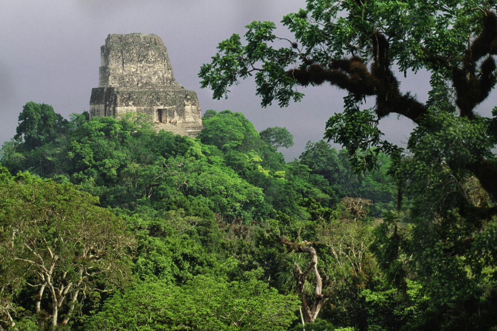 Die aktuelle Untersuchung umfasste 2.100 Quadratkilometer Dschungel. In der Umgebung von Tikal warten aber noch weitere 20.000 Quadratkilometer auf eine Neuerforschung mit Lidar.