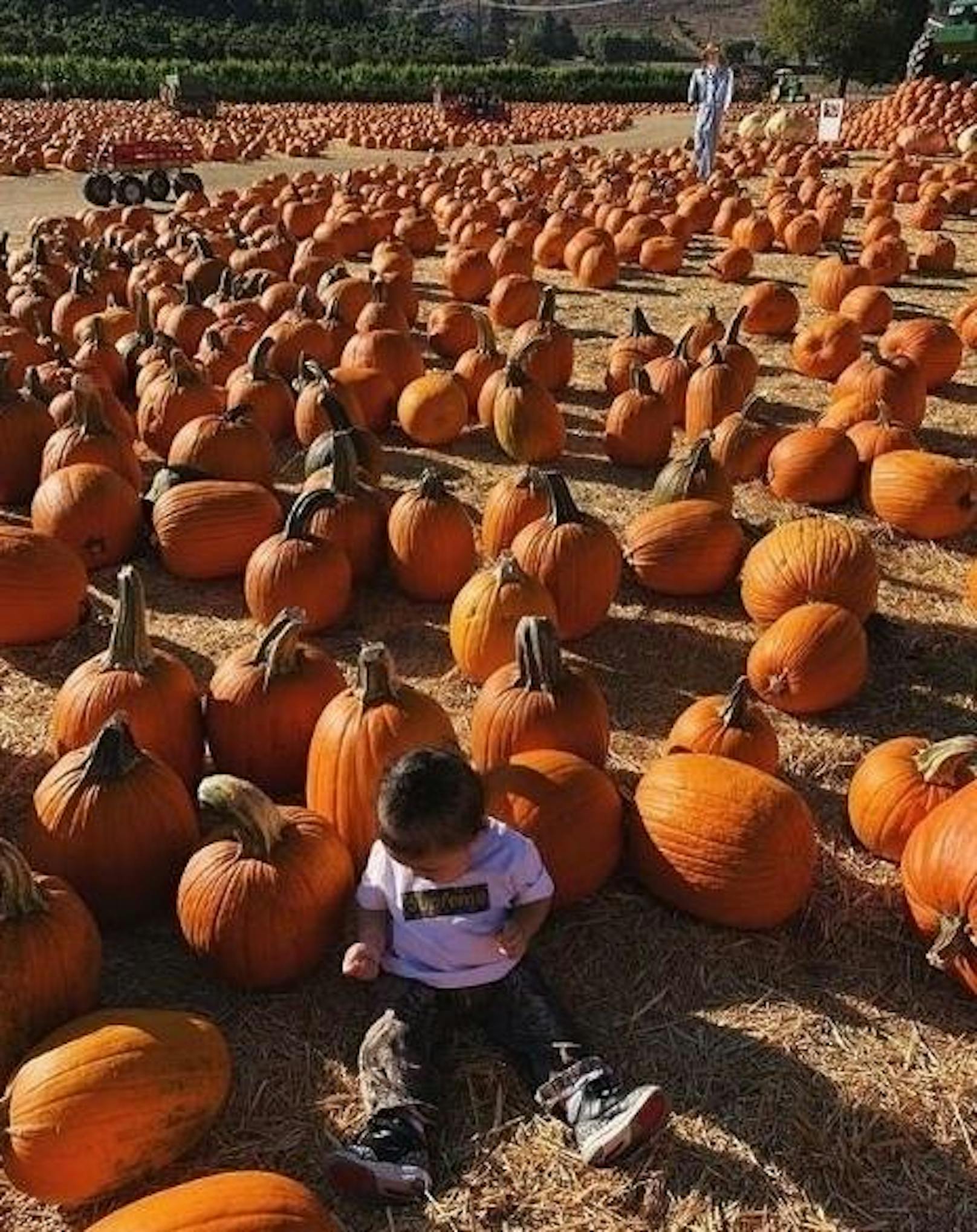25.10.2018: Die kleine Stormi erlebt heuer ihr erstes Halloween. Mama Kylie Jenner hat sie schon mal zur Vorbereitung in ein Feld voller Kürbisse gesetzt.