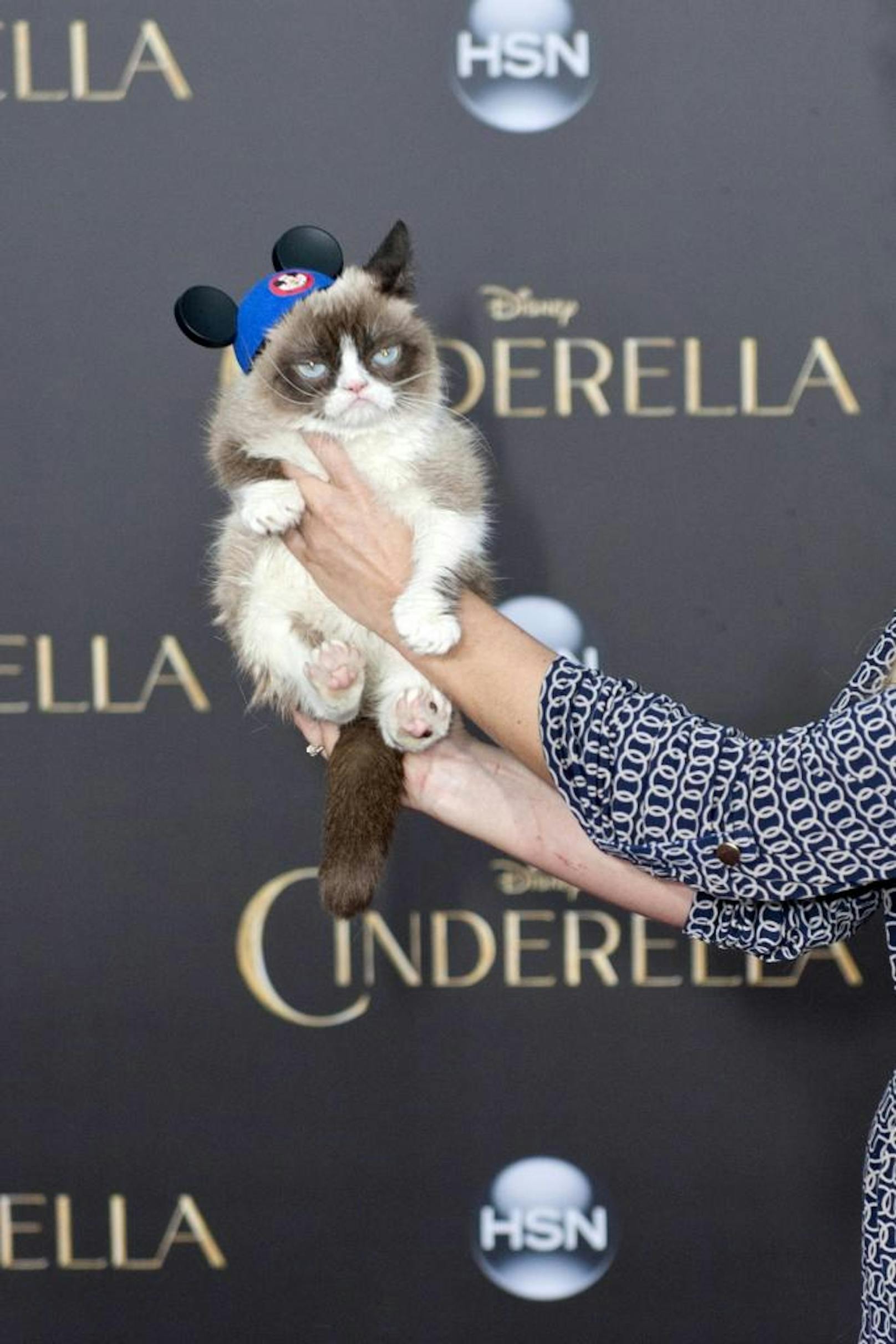 Grumpy Cat gewann einen Preis für das Meme des Jahres bei den Webby Awards 2013. Hier ist der flauschige Vierbeiner bei der Premiere des Kinofilms Cinderella in Hollywood zu sehen.