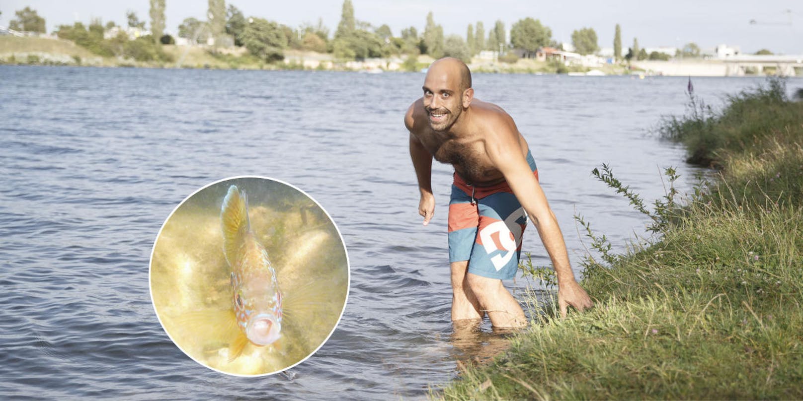 <b>Juli: "Donau_Piranhas" knabbern Schwimmer an
</b>Cristoph Sommer machte eine erstaunliche Begegnung, als er im Sommer in die Donau schwimmen ging. Ein Fisch knabberte ihn an!  <a href="https://www.heute.at/oesterreich/wien/story/Autsch--Fische-knabbern-Zehen-der-Schwimmer-an-53666958">Hier geht's zur Geschichte</a>