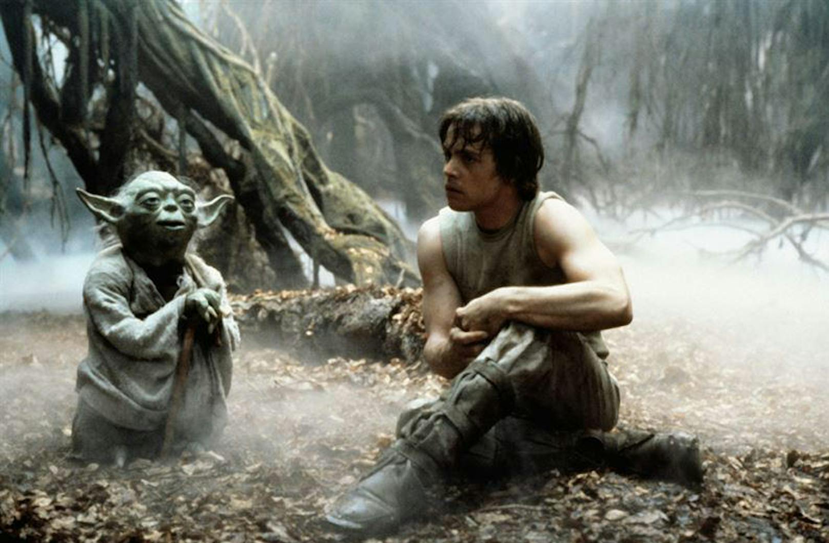 Luke (re.) will sich von Yoda zum Jedi ausbilden lassen.