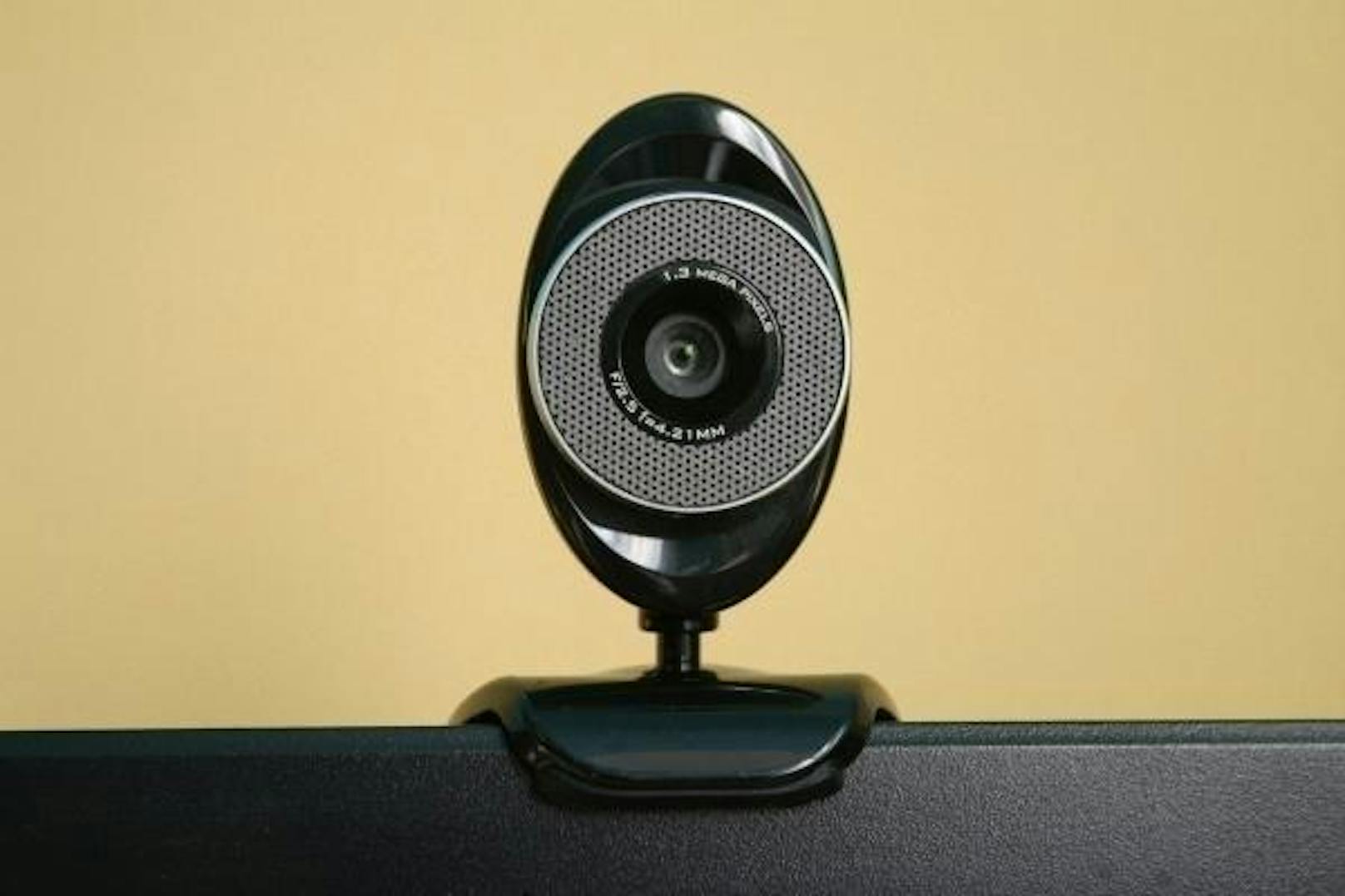 Anschließend müssen einem virtuellen Grenzbeamten über eine Webcam verschiedene Fragen beantwortet werden.