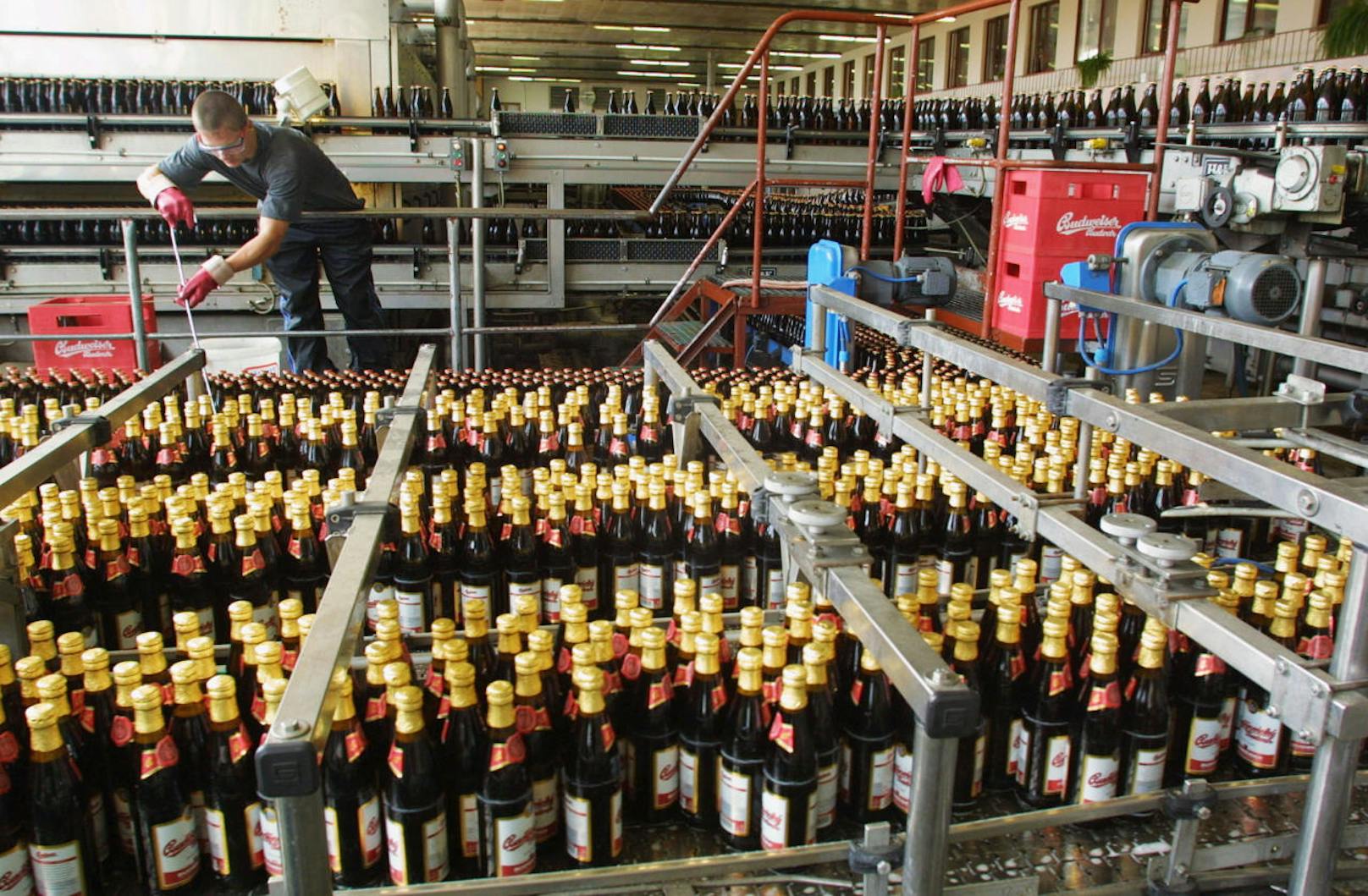 Mit rund 411,5 Millionen Hektoliter Bier (21 Prozent der gesamten Bierproduktion) ist die belgische Brauereigruppe "AB InBev" der größte Bierproduzent weltweit.