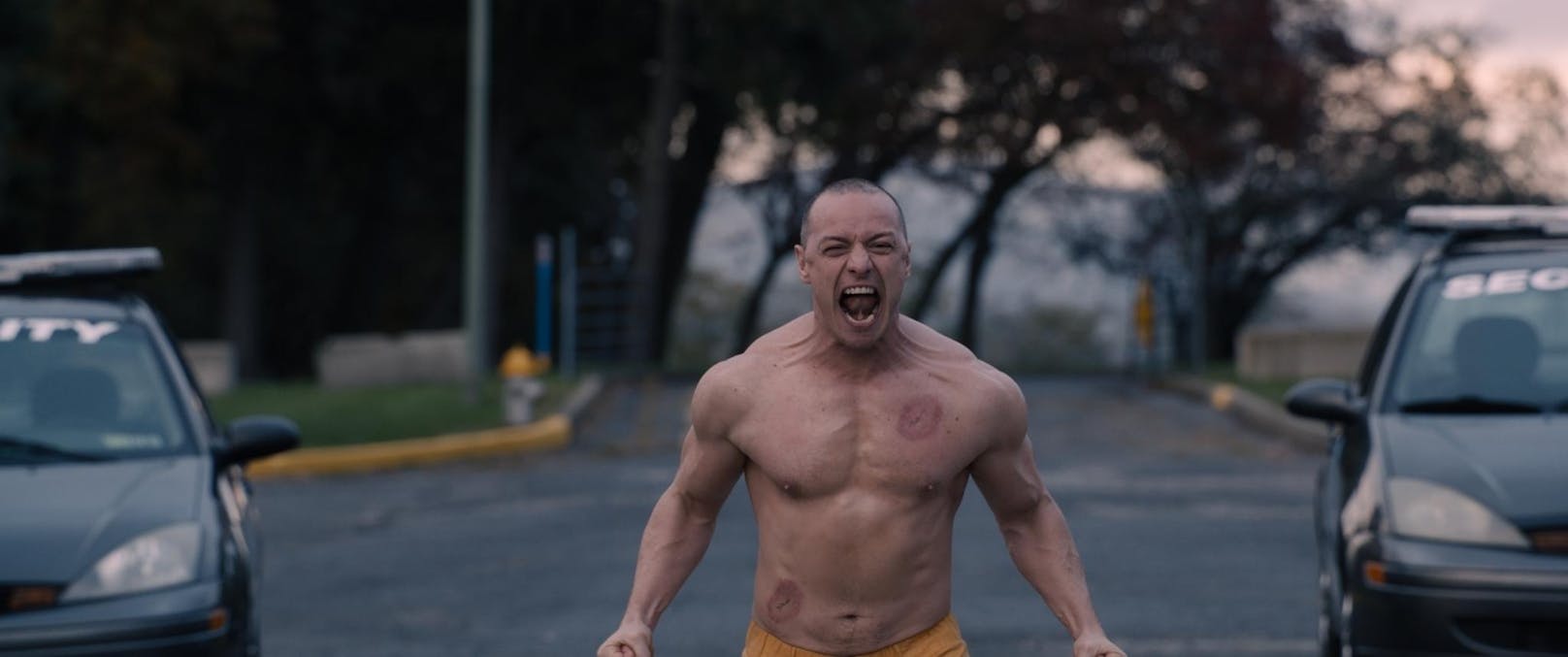 The Beast (James McAvoy)