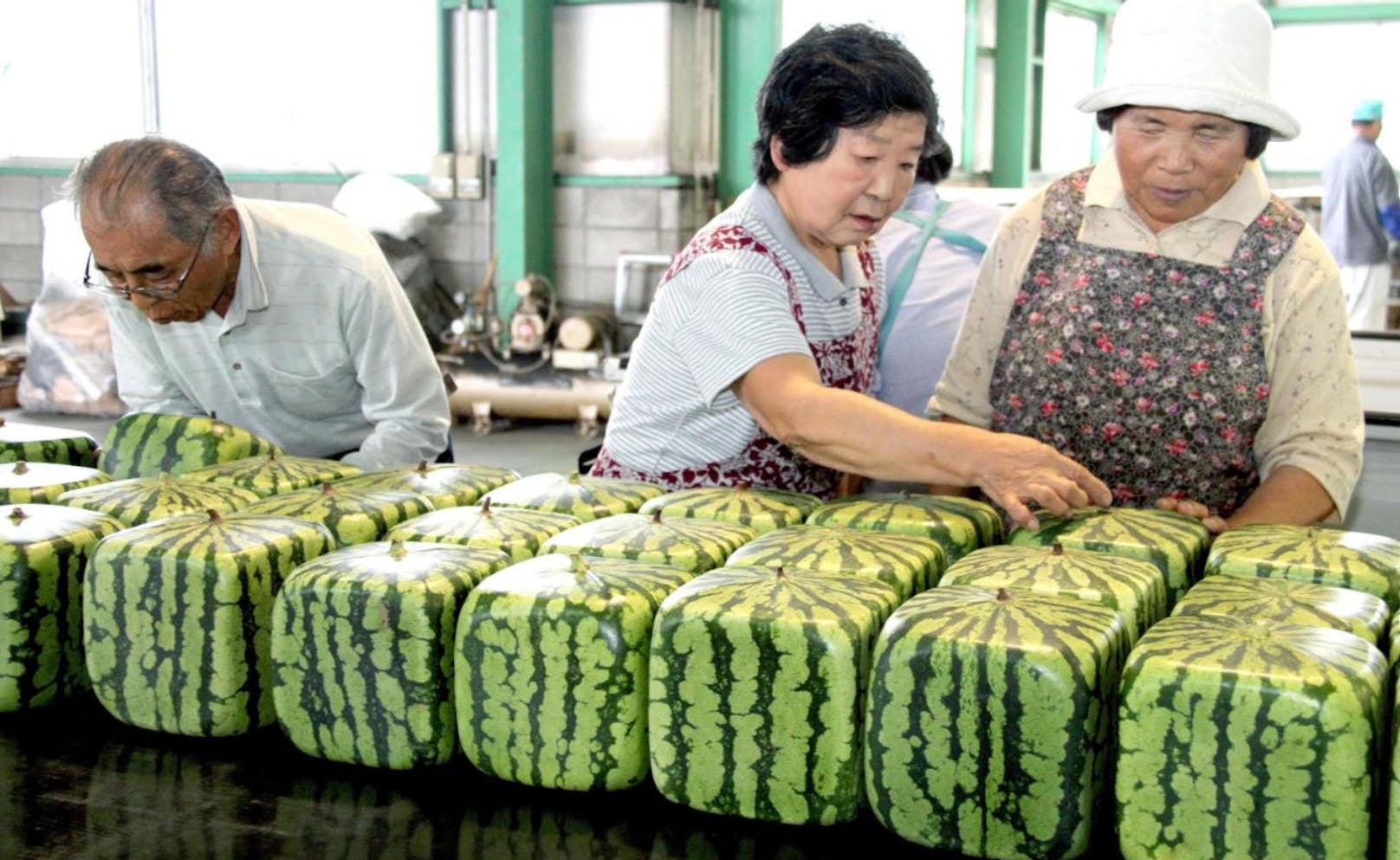 Auch nicht günstig: Die berühmten quadratischen Wassermelonen. Sie sind ungeniessbar, aber als Schmuckgegenstand beliebt. Sie kosten rund 80 Euro pro Stück.