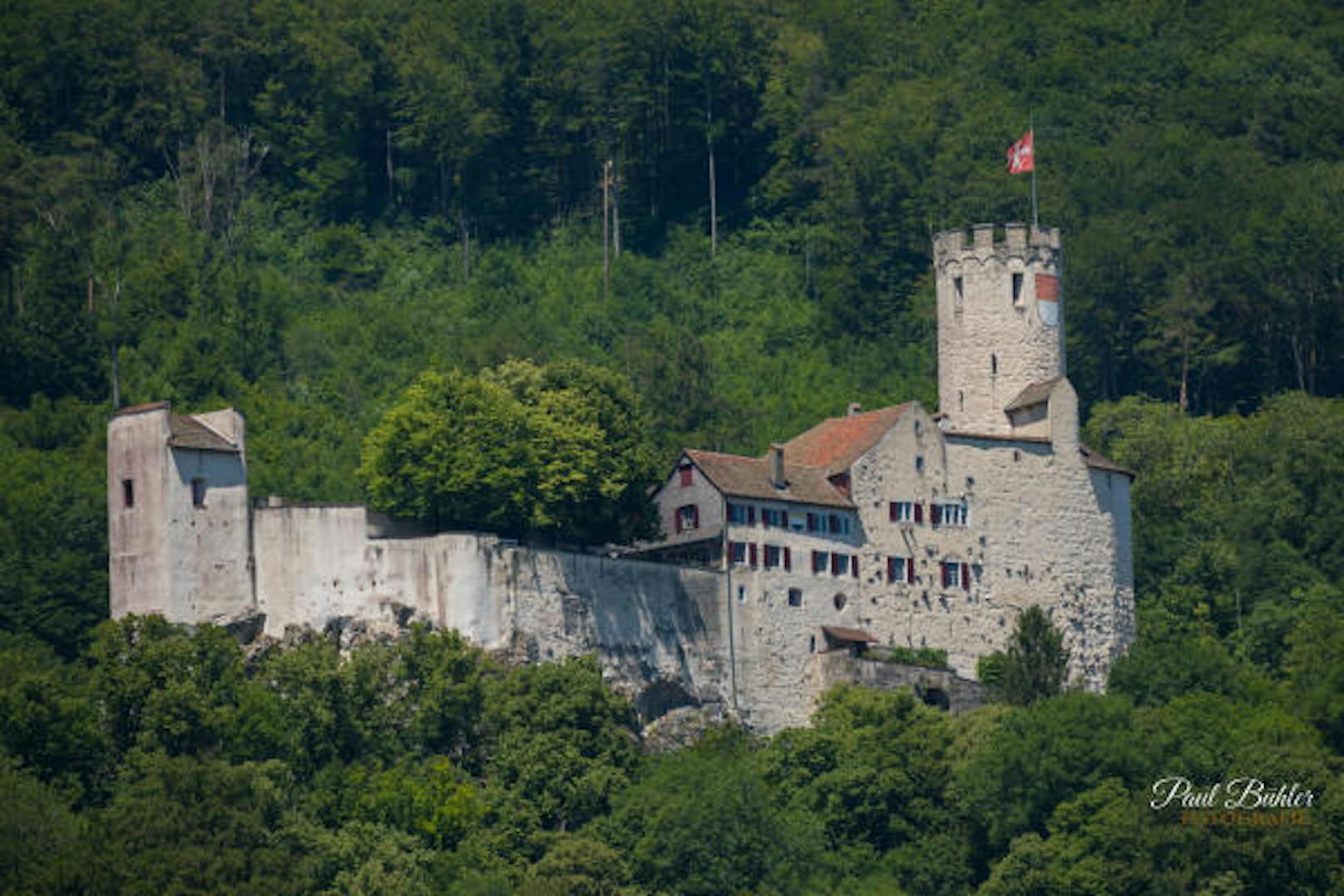 Schloss Neu-Bechburg befindet sich bei Oensingen ...