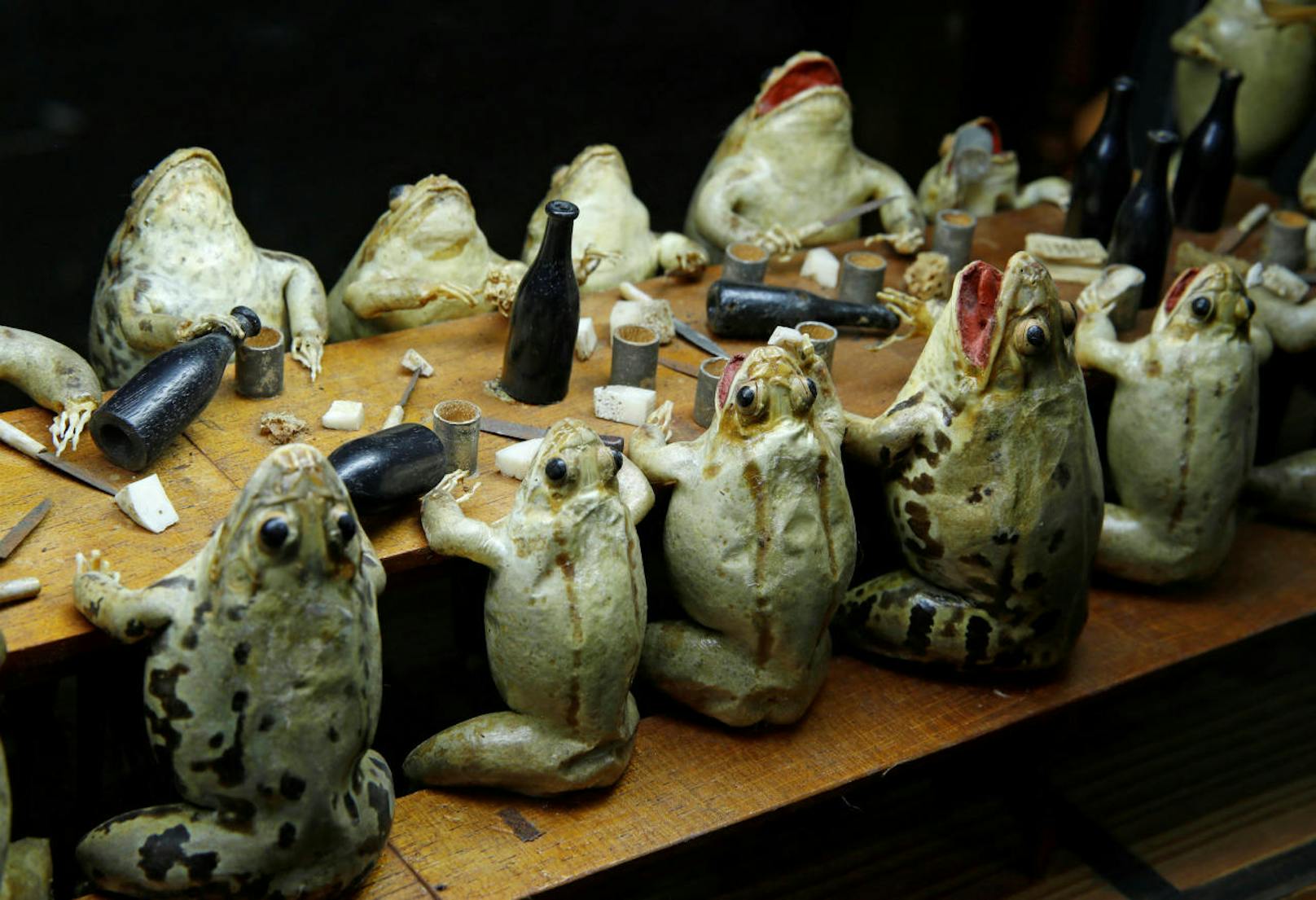 Frösche essen in einem Wahllokal. Im Froschmuseum in Estavayer-le-Lac in der Schweiz stellen 108 ausgestopfte Frösche Alltagsszenen aus dem 19. Jahrhundert dar.