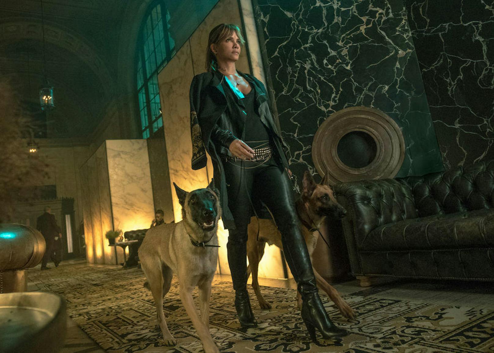 Sophia (Halle Berry) ist eine hervorragende Schützin, ihre tödlichsten Waffen sind jedoch ihre beiden Hunde.