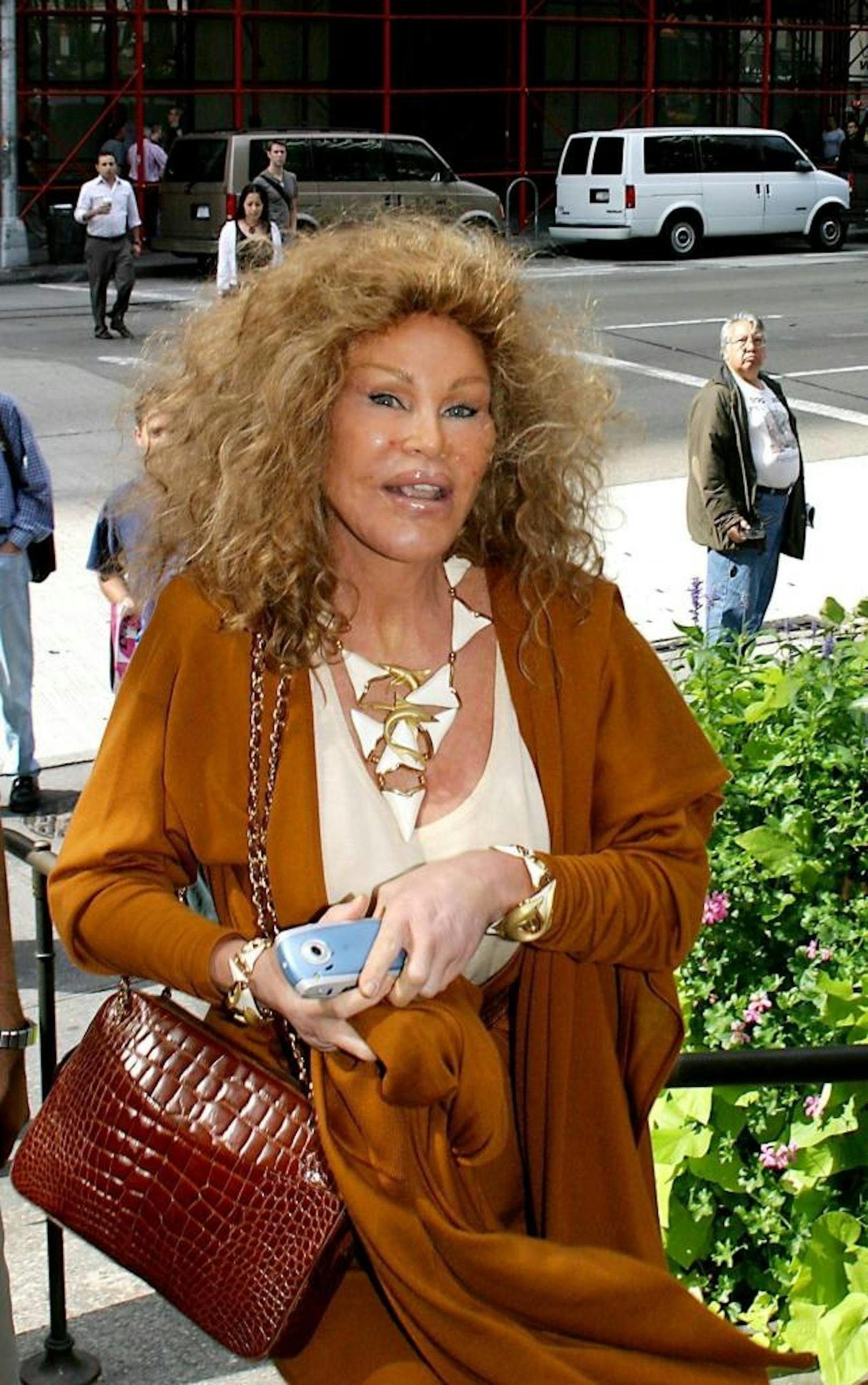 Jocelyn Wildenstein