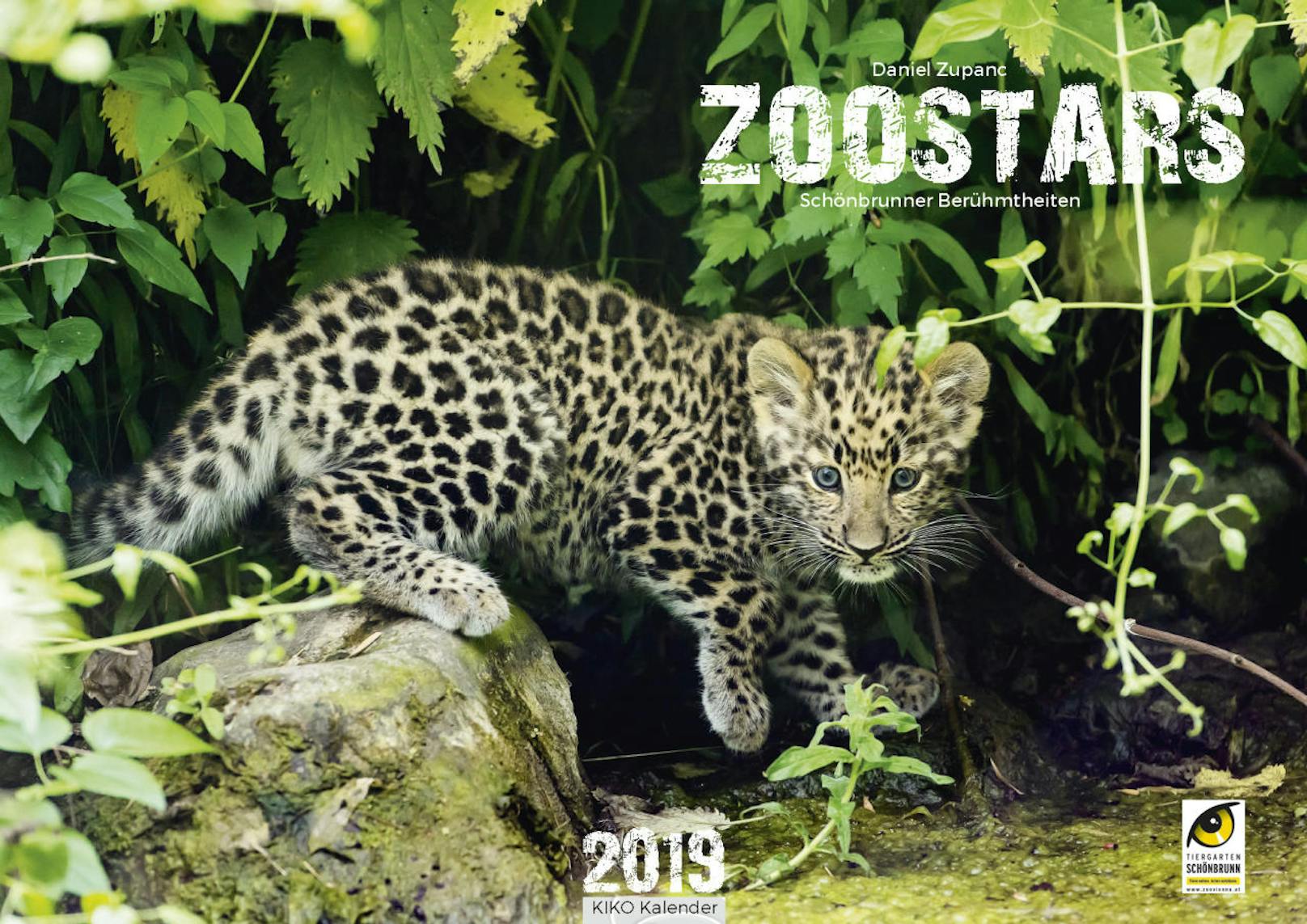Für den neuen Kalender 2019 hat Schönbrunn-Fotografen 12 tierische Models ausgewwählt. (c) Daniel Zupanc